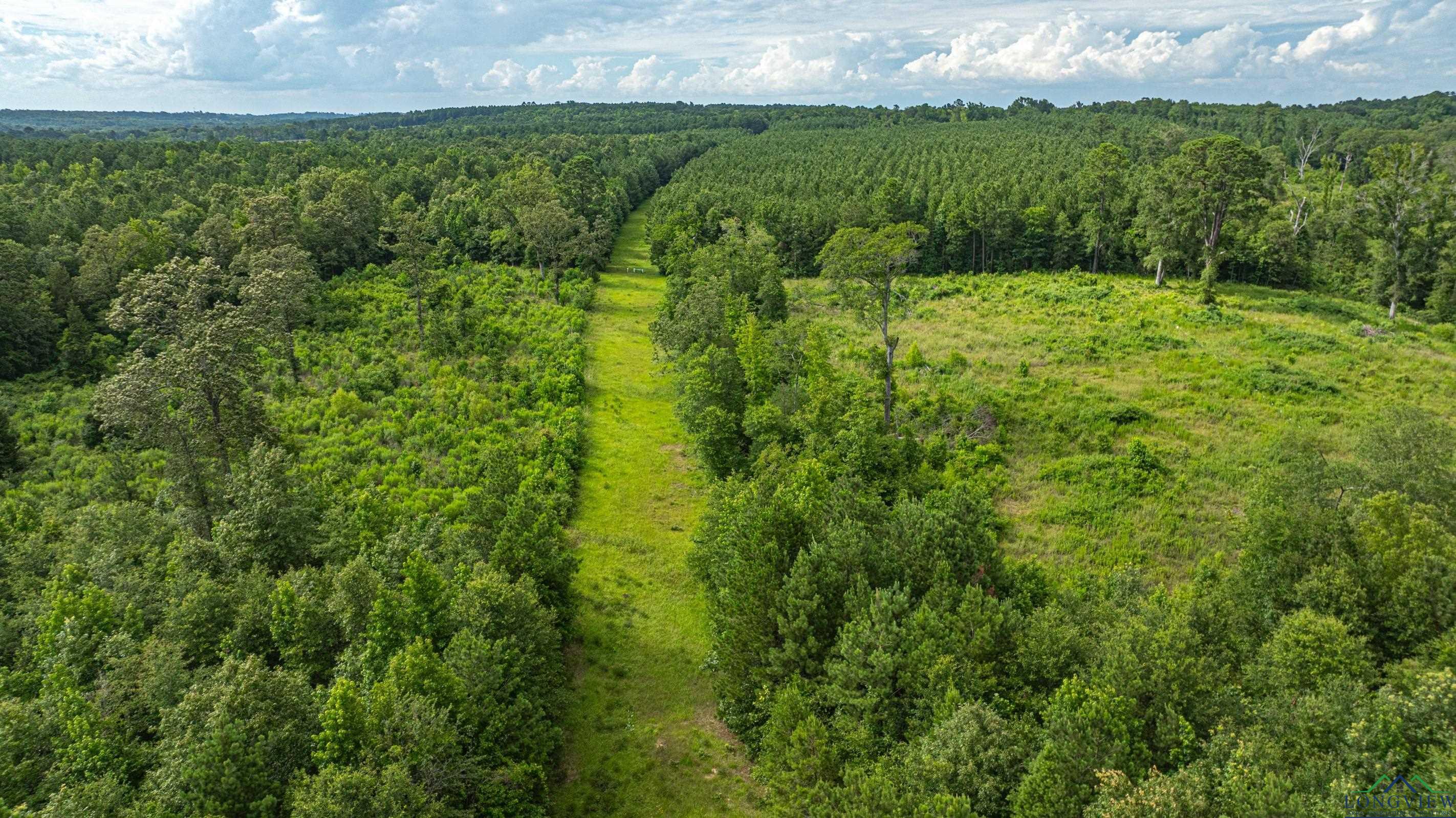 TBD E County Road 376, Henderson, Texas image 4