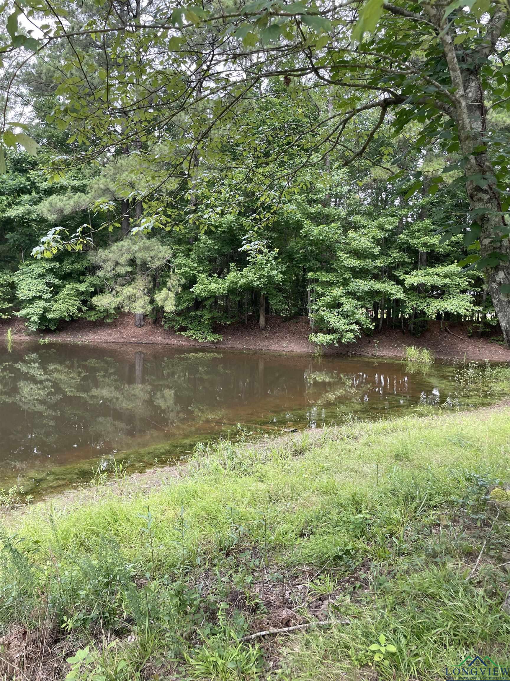 7341 Fm 2791, Atlanta, Texas image 42