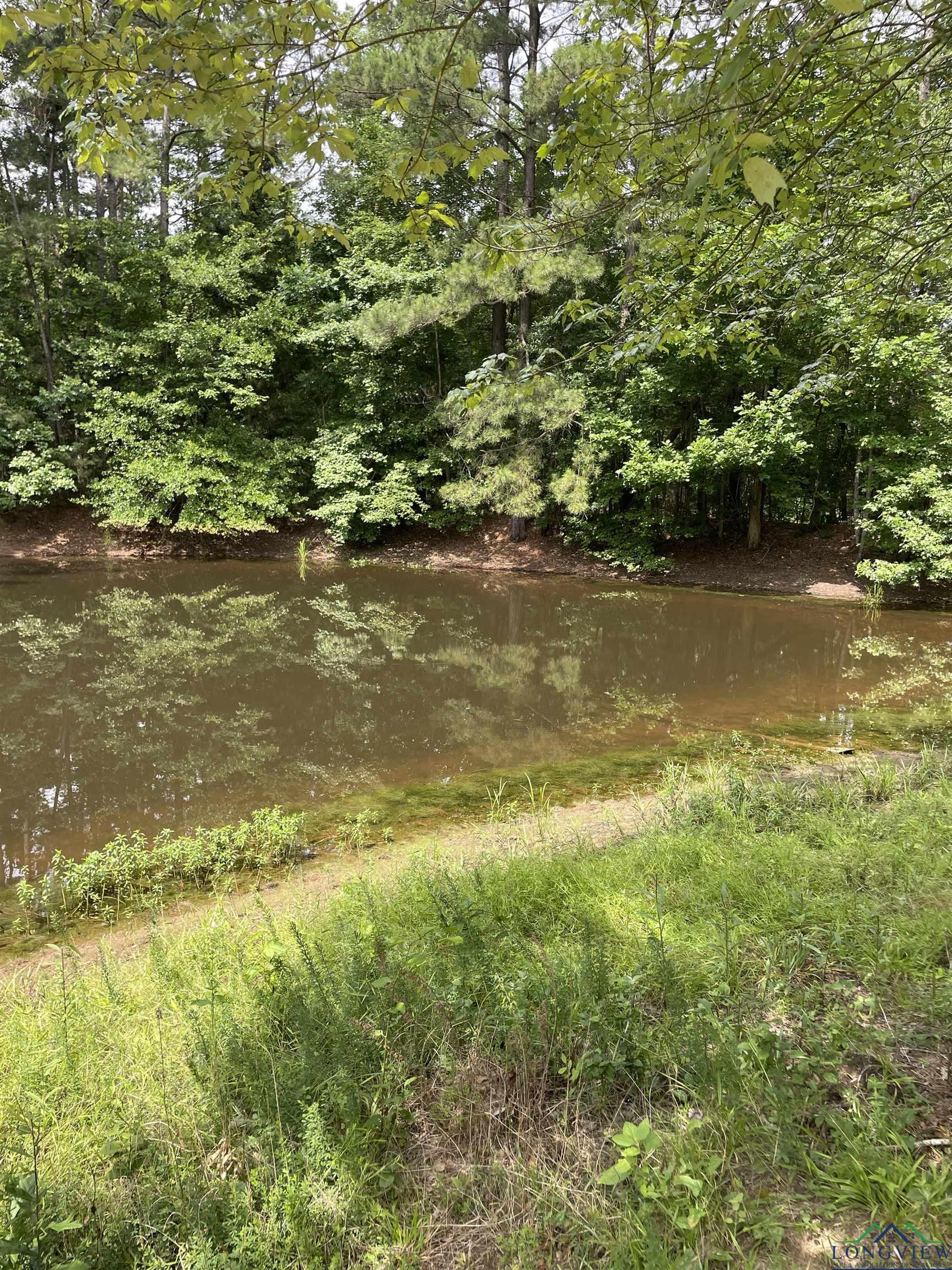 7341 Fm 2791, Atlanta, Texas image 34