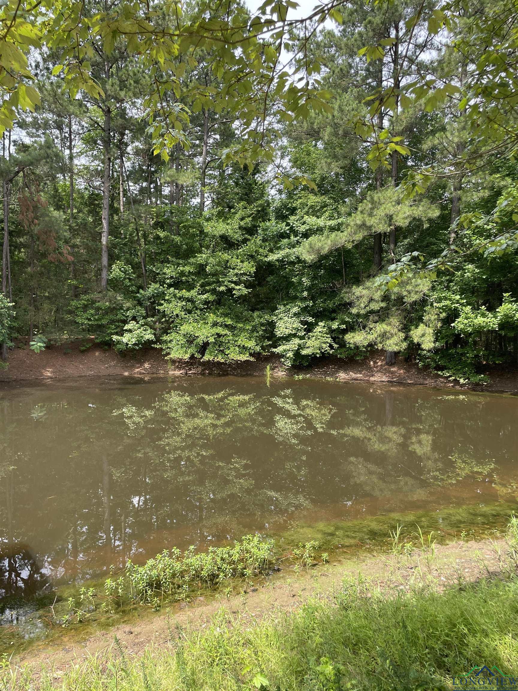 7341 Fm 2791, Atlanta, Texas image 35