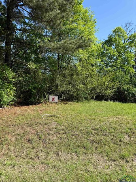 Vacant Land For Sale - TBD LOT 5 S Fm 839<br/> Rusk County, Henderson, TX 75652