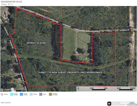 Homes For Sale - 25 AC Davidson Rd<br/> Diana, TX 75601
