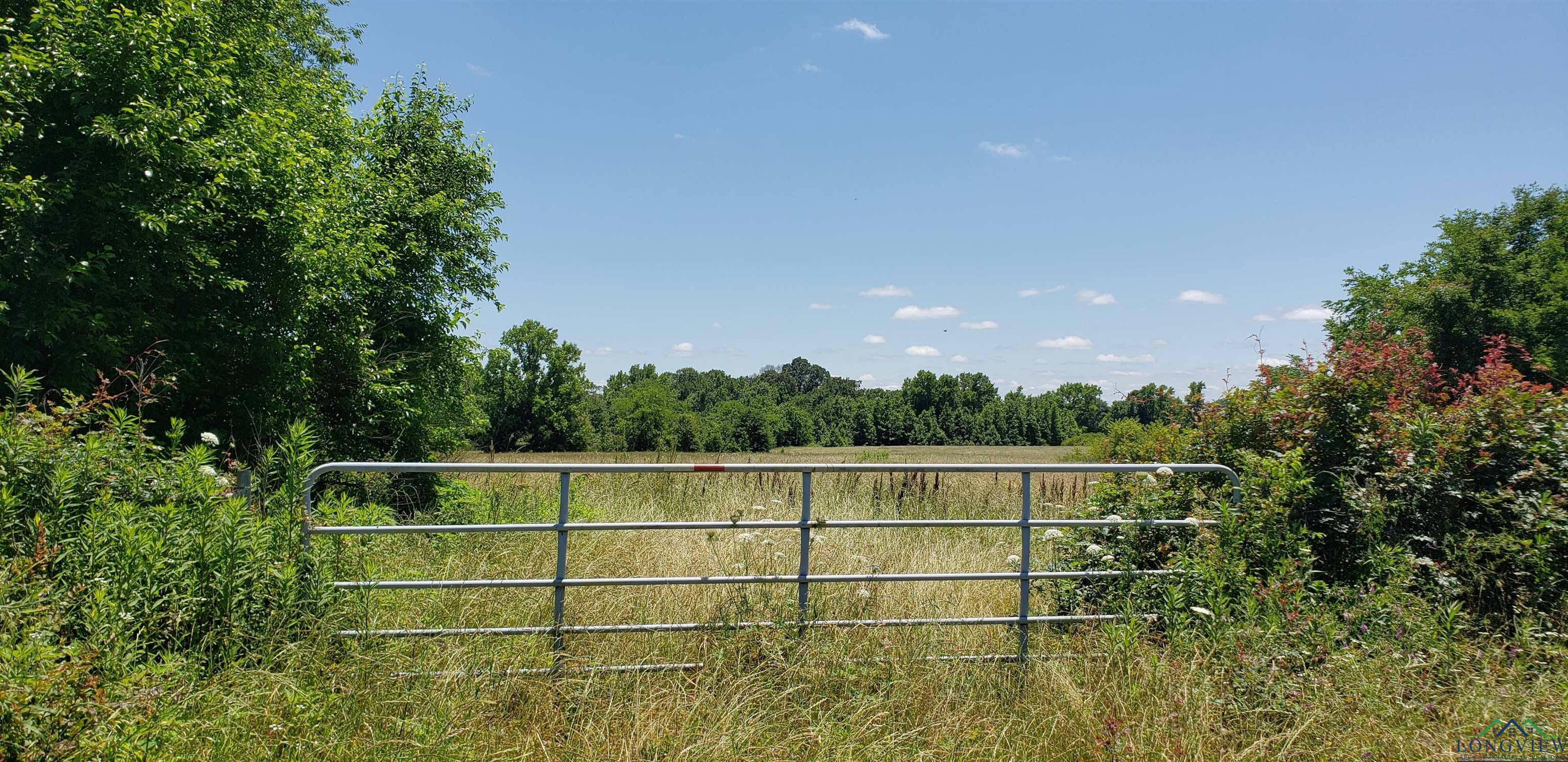 TBD Cr 1400, Mount Pleasant, Texas image 1