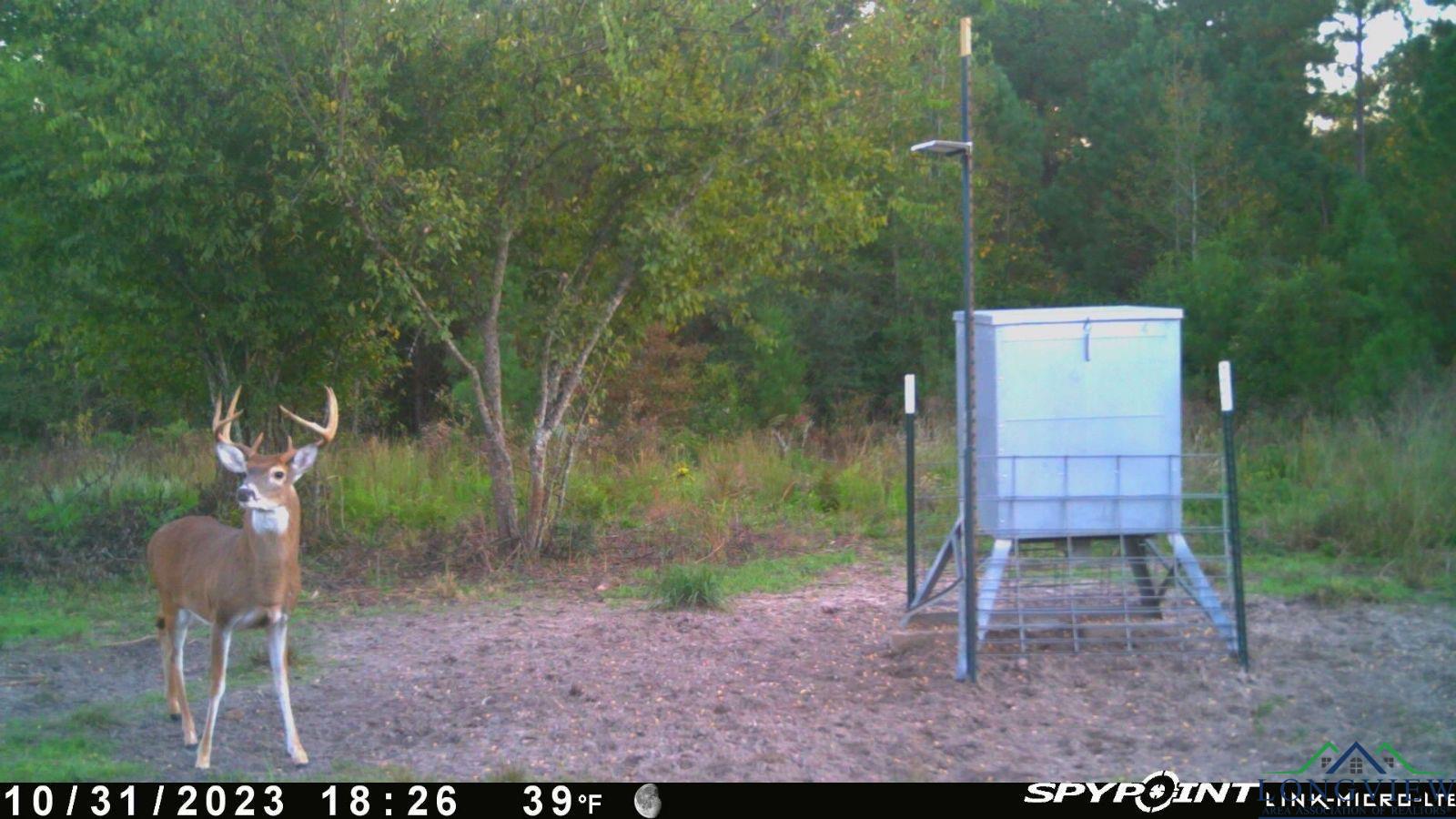 TBD Cr 1633, Linden, Texas image 15