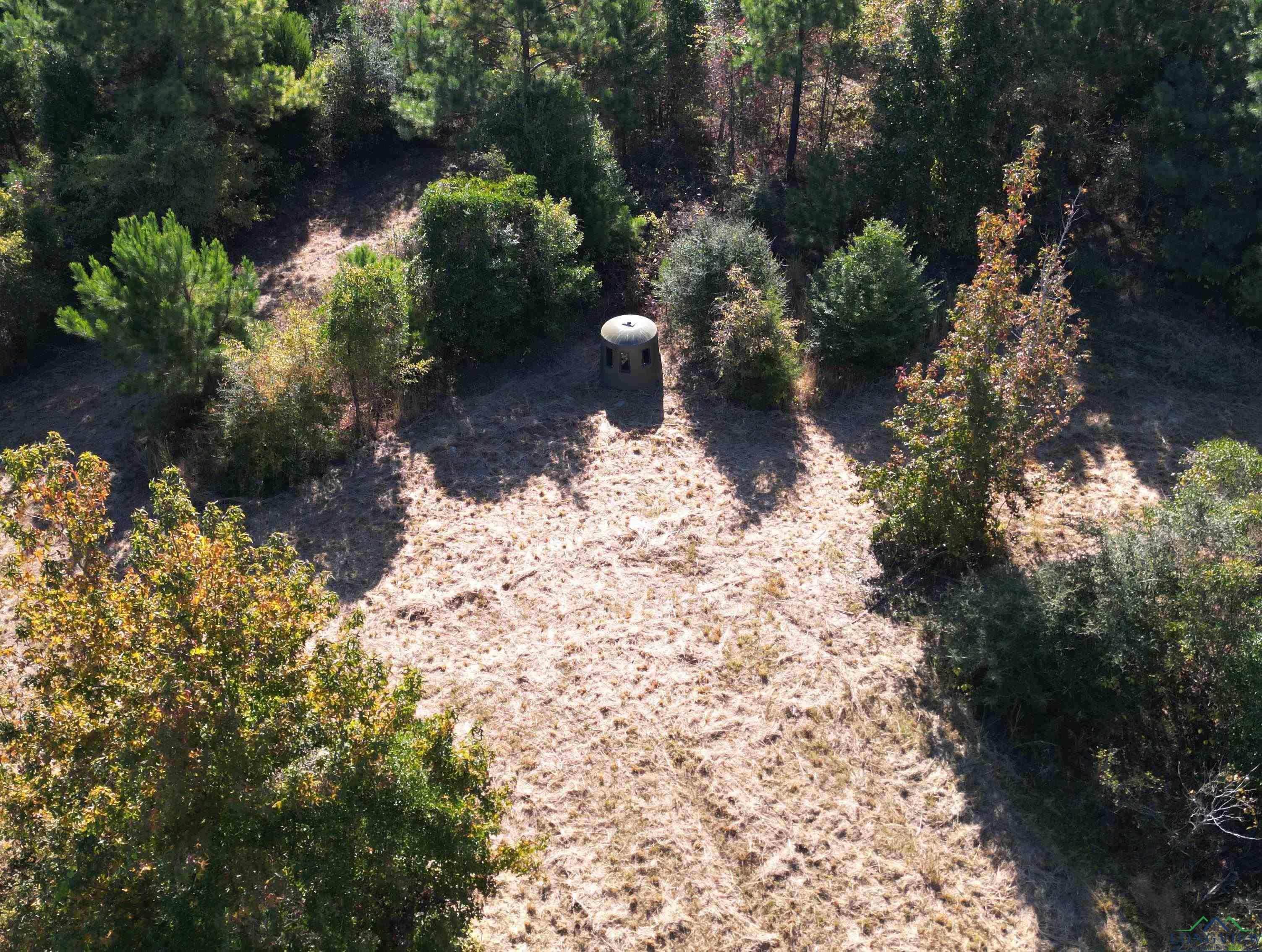 TBD Cr 1633, Linden, Texas image 9