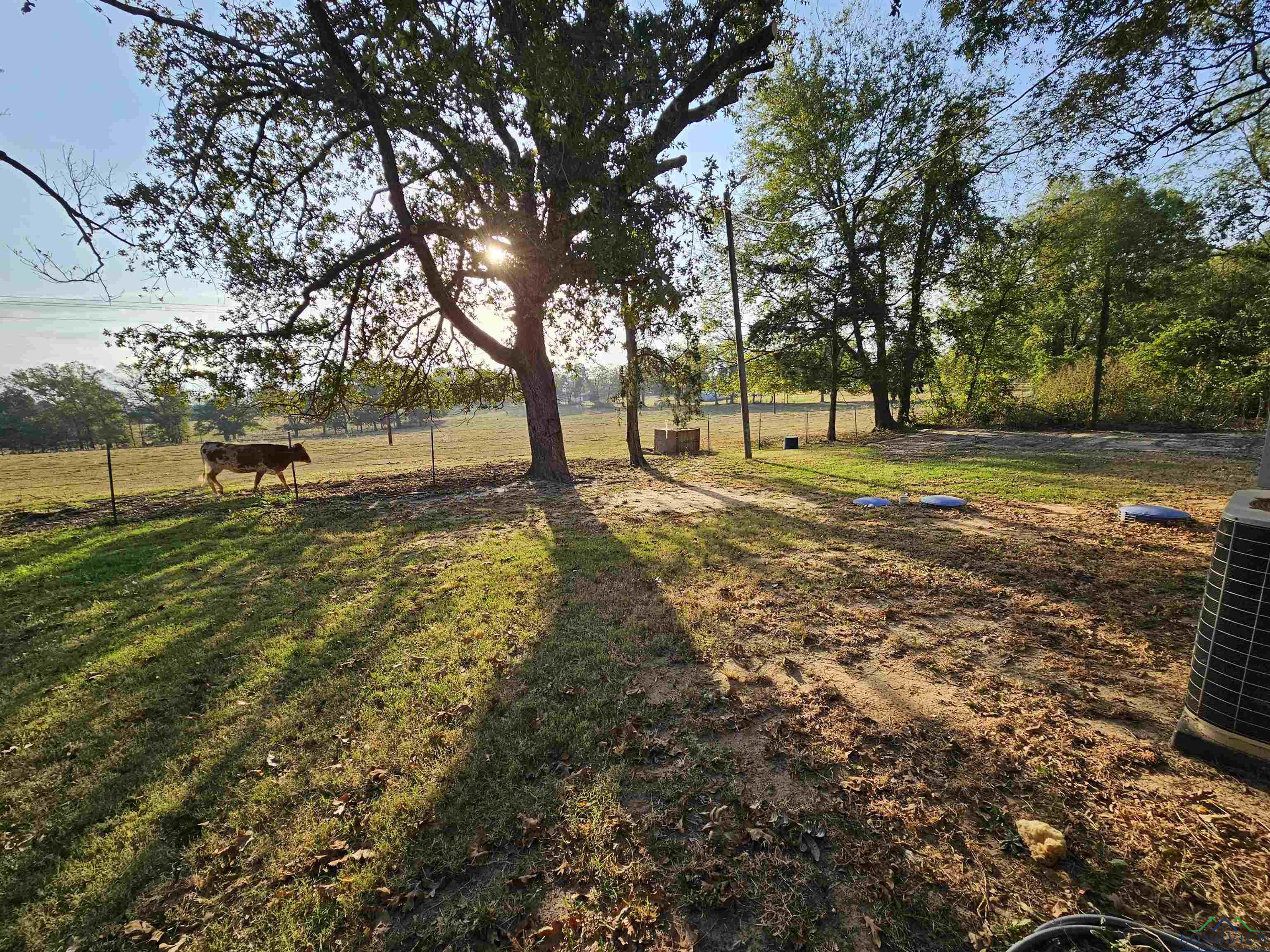 6641 Fm 1002, Big Sandy, Texas image 8