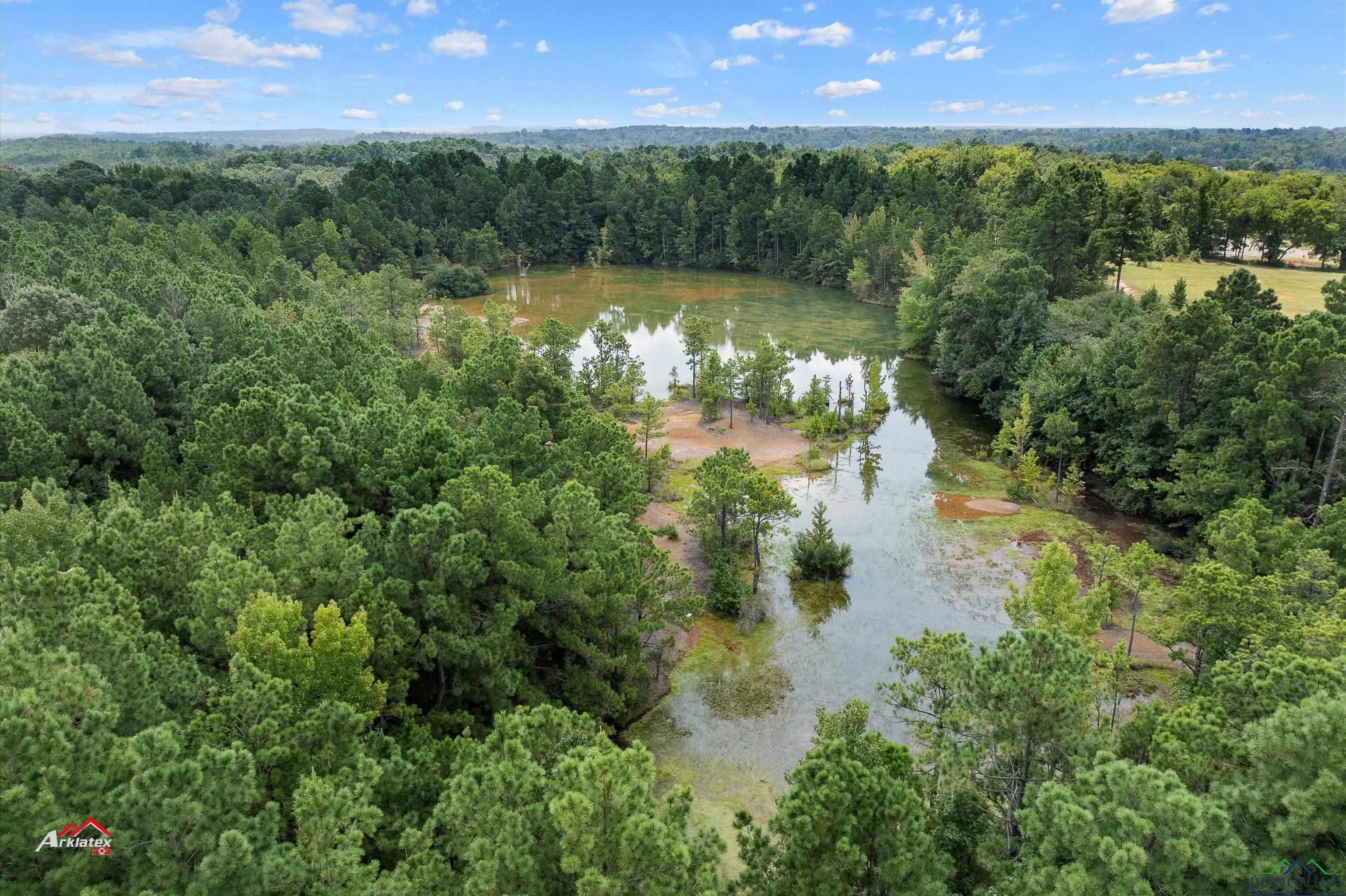 TBD N Fm 250, Hughes Springs, Texas image 4