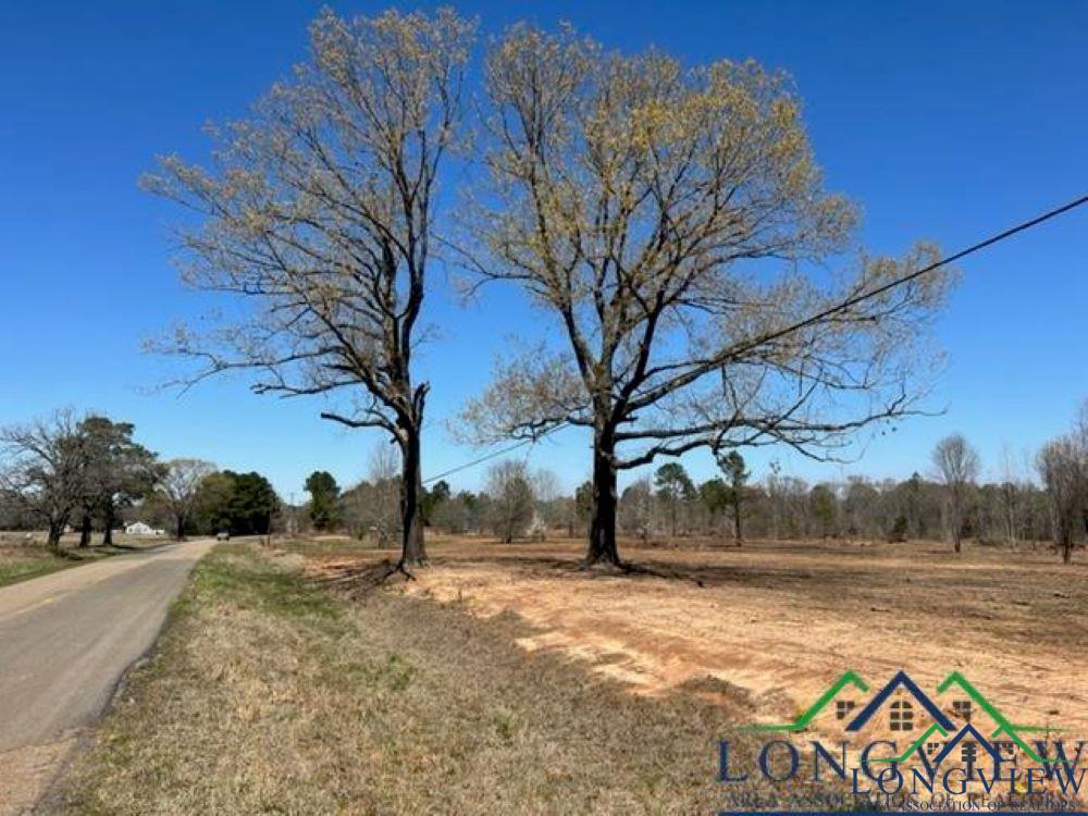 43.5 Acres Off Watson Road, Kilgore, Texas image 9