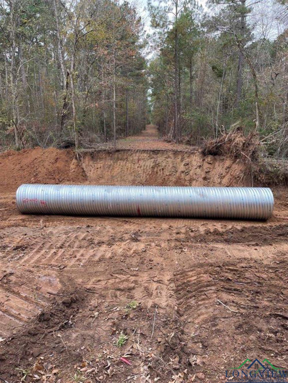 43.5 Acres Off Watson Road, Kilgore, Texas image 8