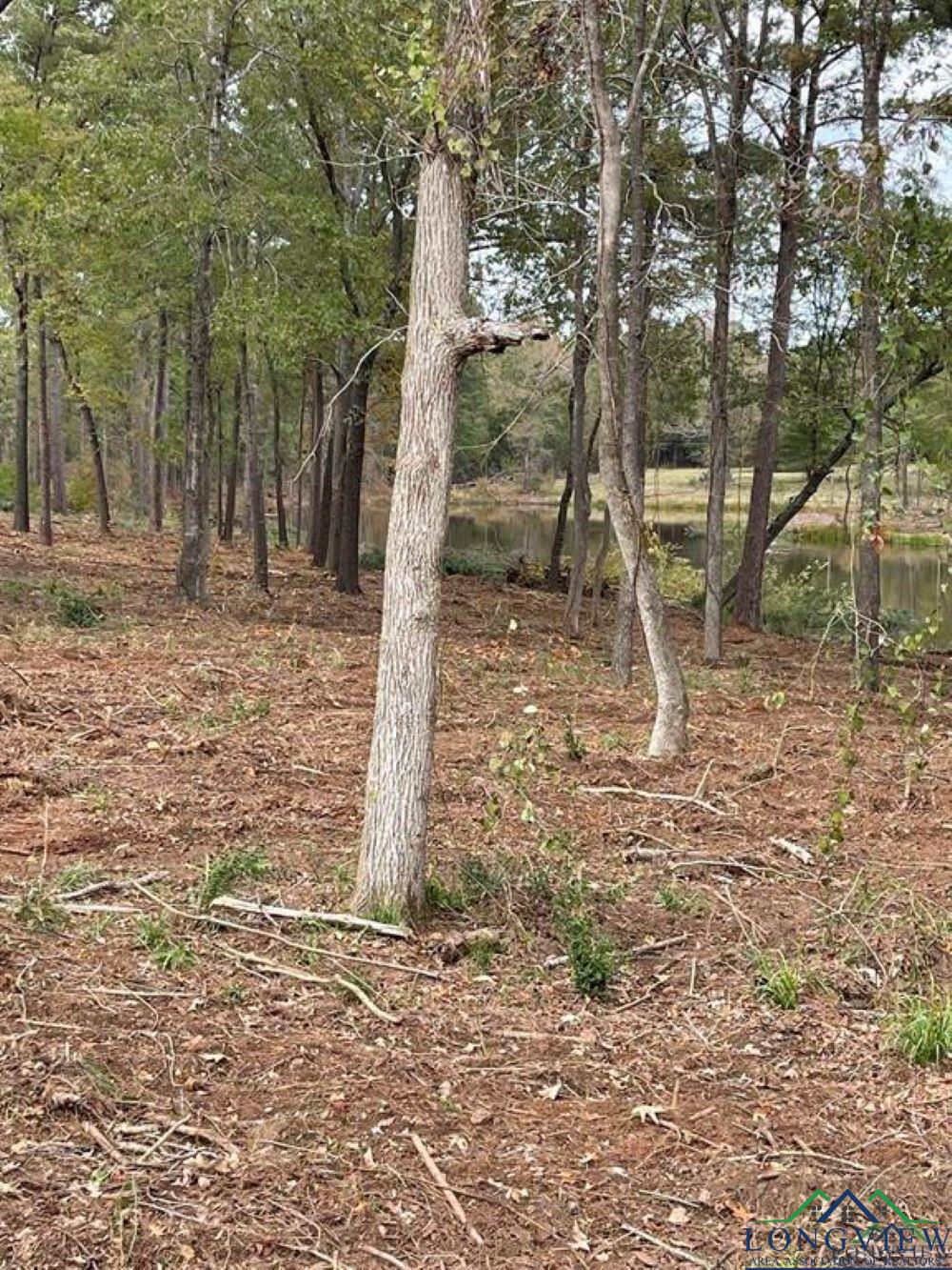 43.5 Acres Off Watson Road, Kilgore, Texas image 12