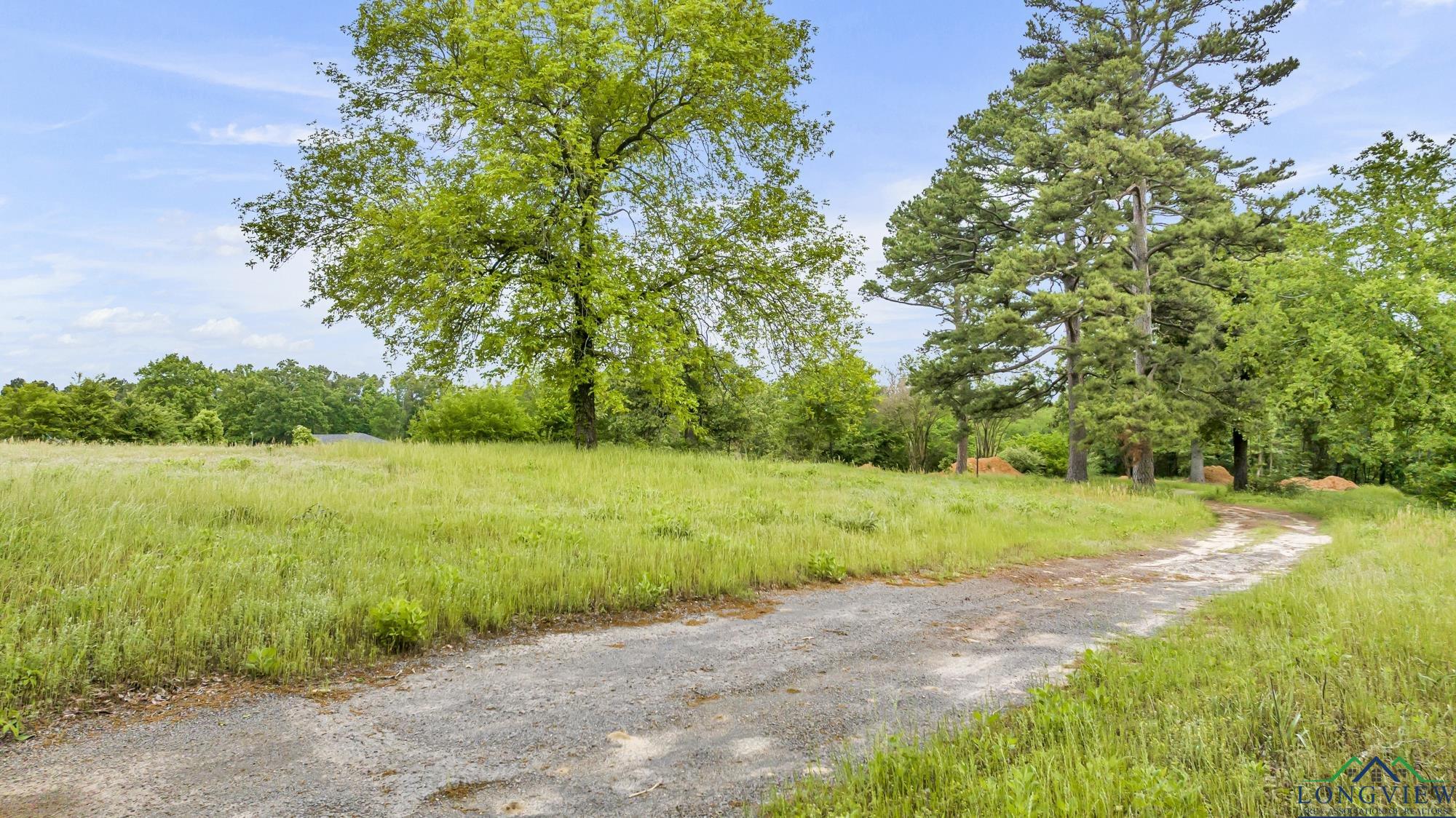 2717 Mustang Rd, Gilmer, Texas image 4