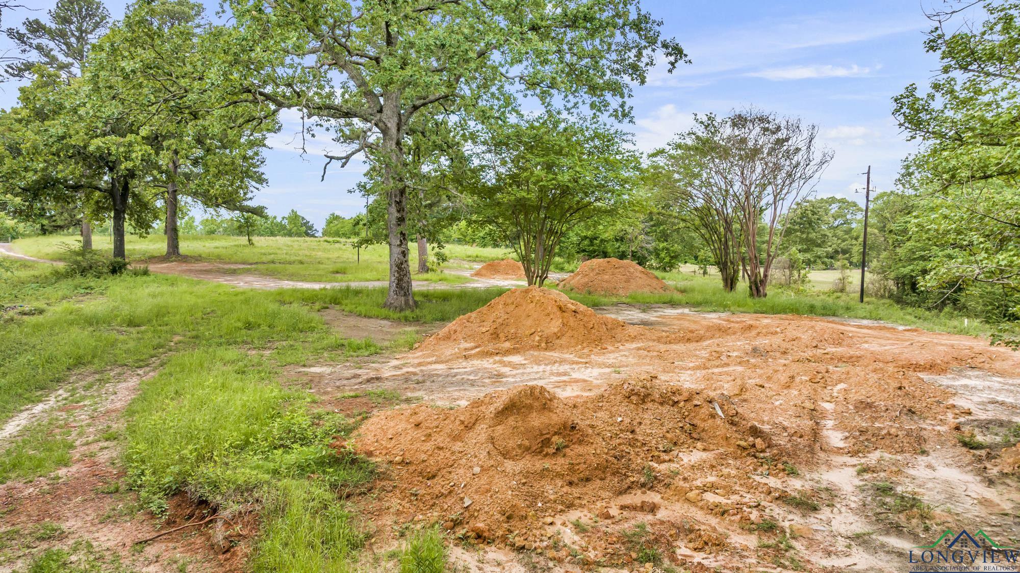 2717 Mustang Rd, Gilmer, Texas image 7