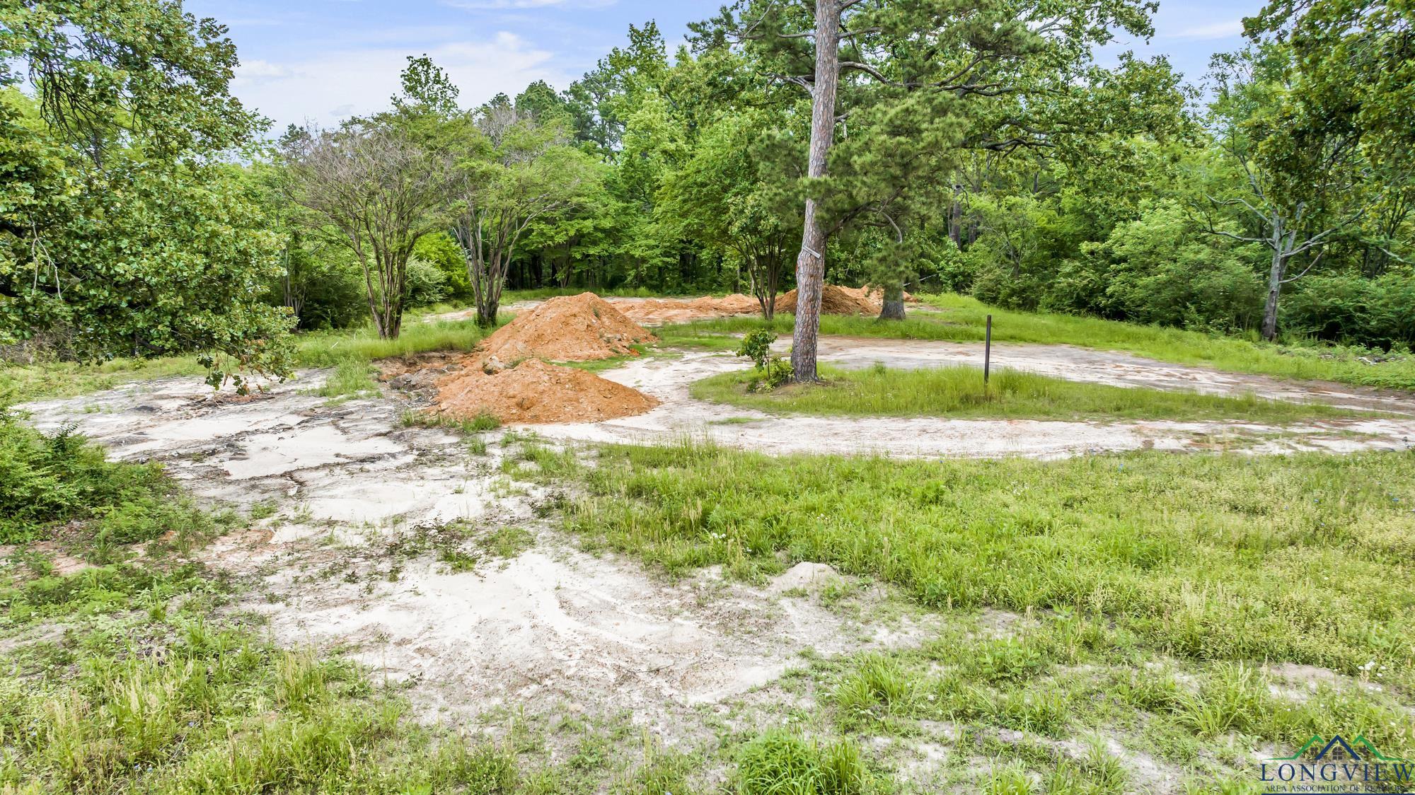 2717 Mustang Rd, Gilmer, Texas image 6