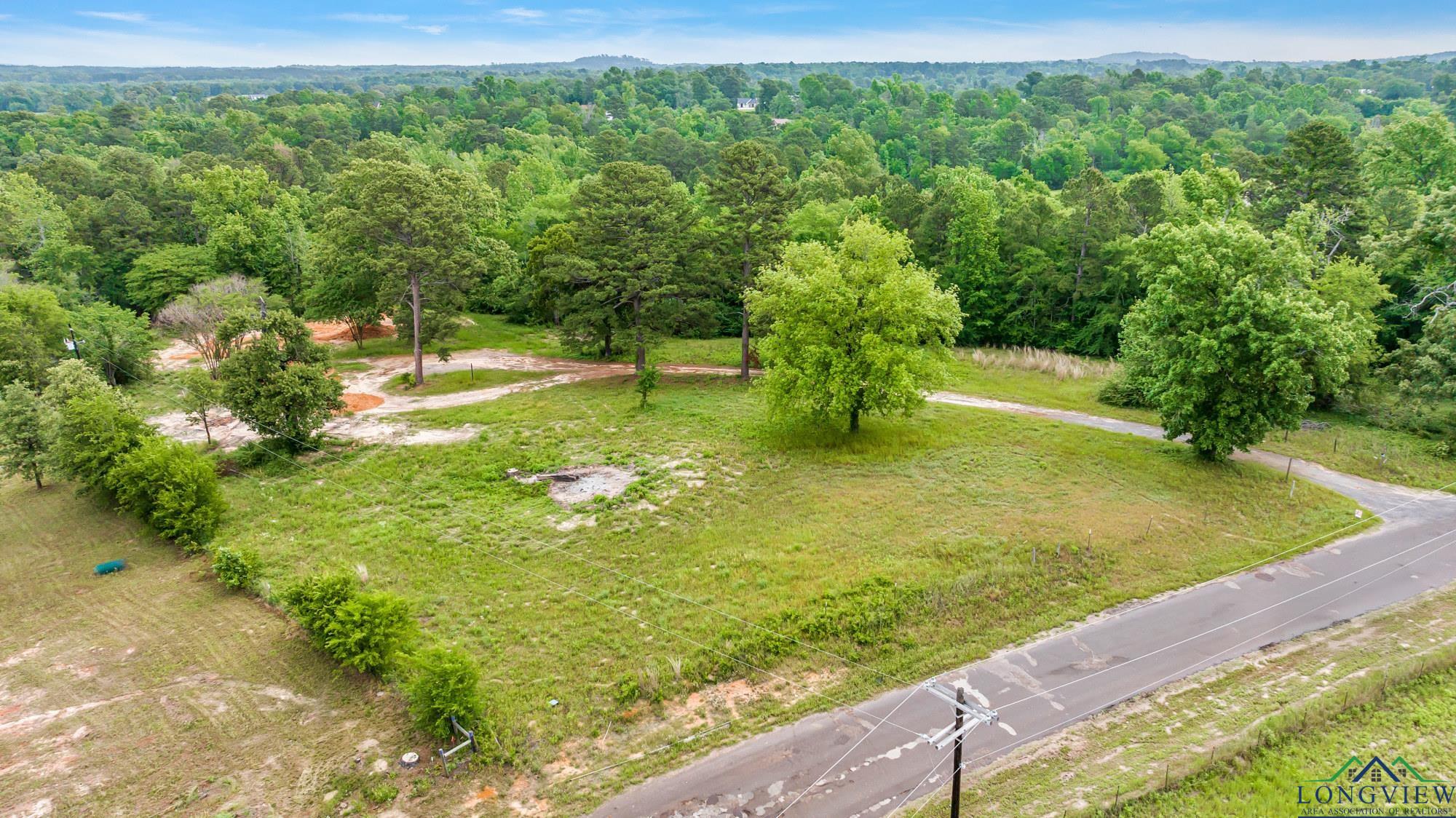 2717 Mustang Rd, Gilmer, Texas image 9