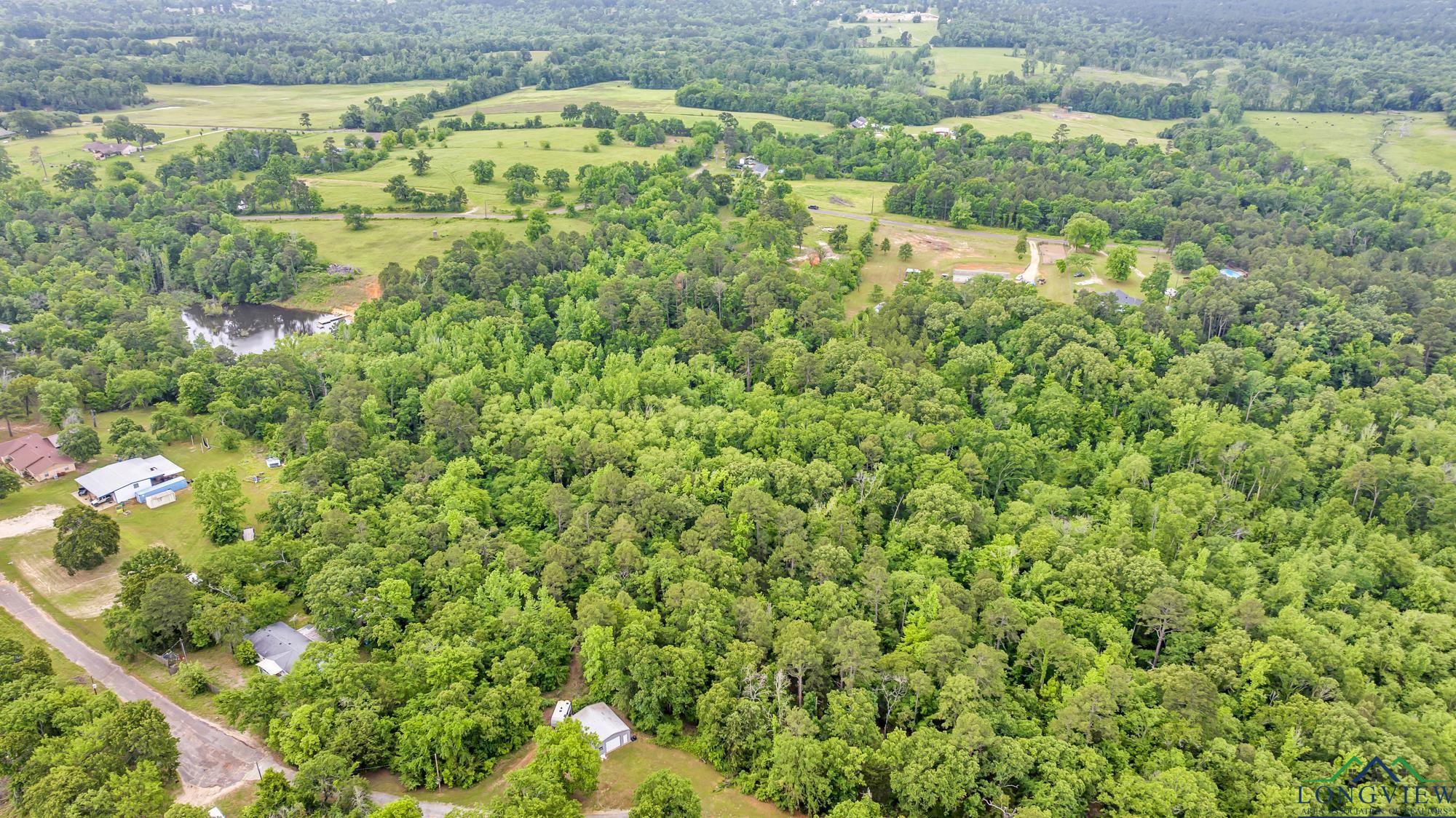 2717 Mustang Rd, Gilmer, Texas image 11