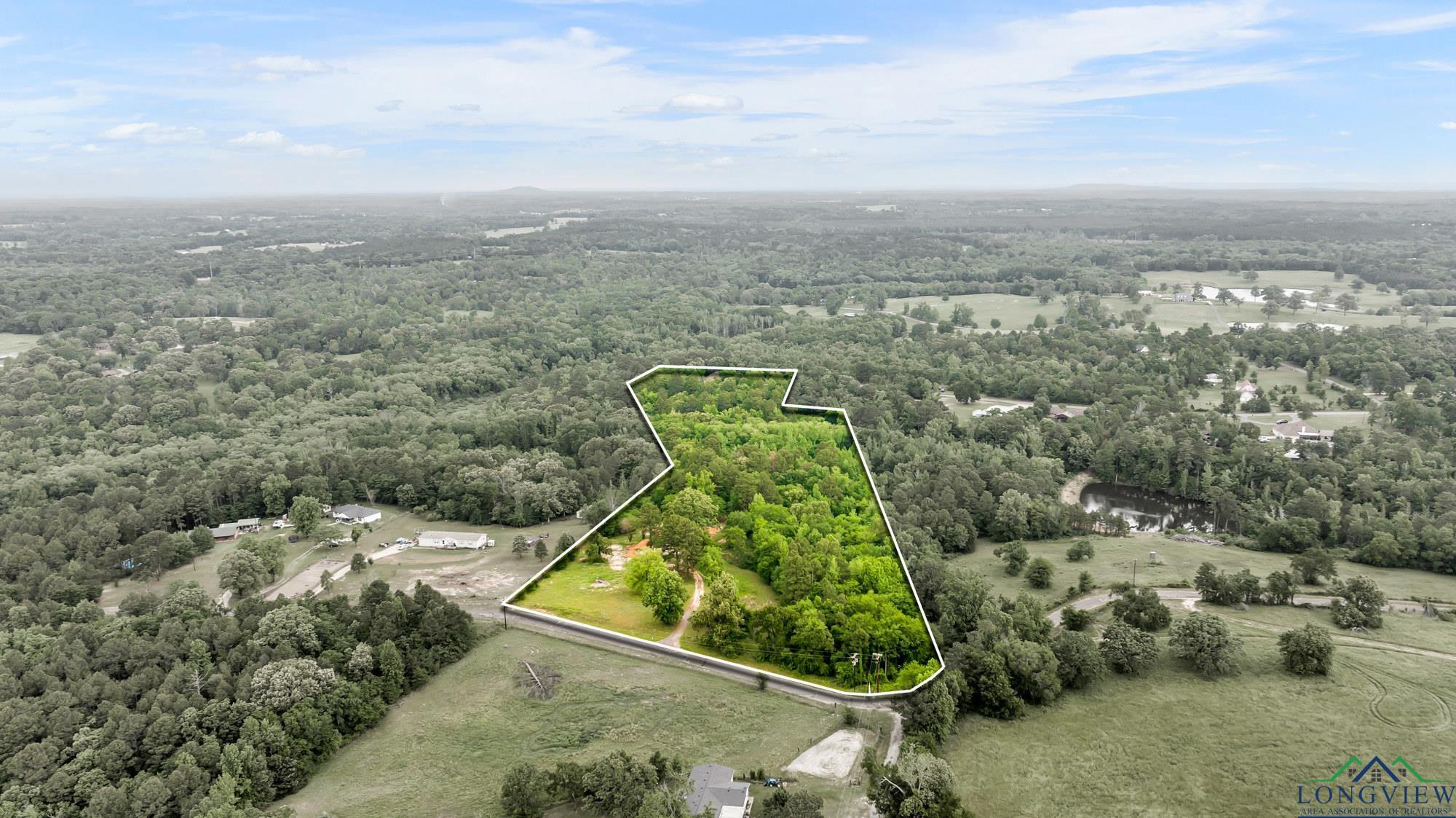 2717 Mustang Rd, Gilmer, Texas image 1