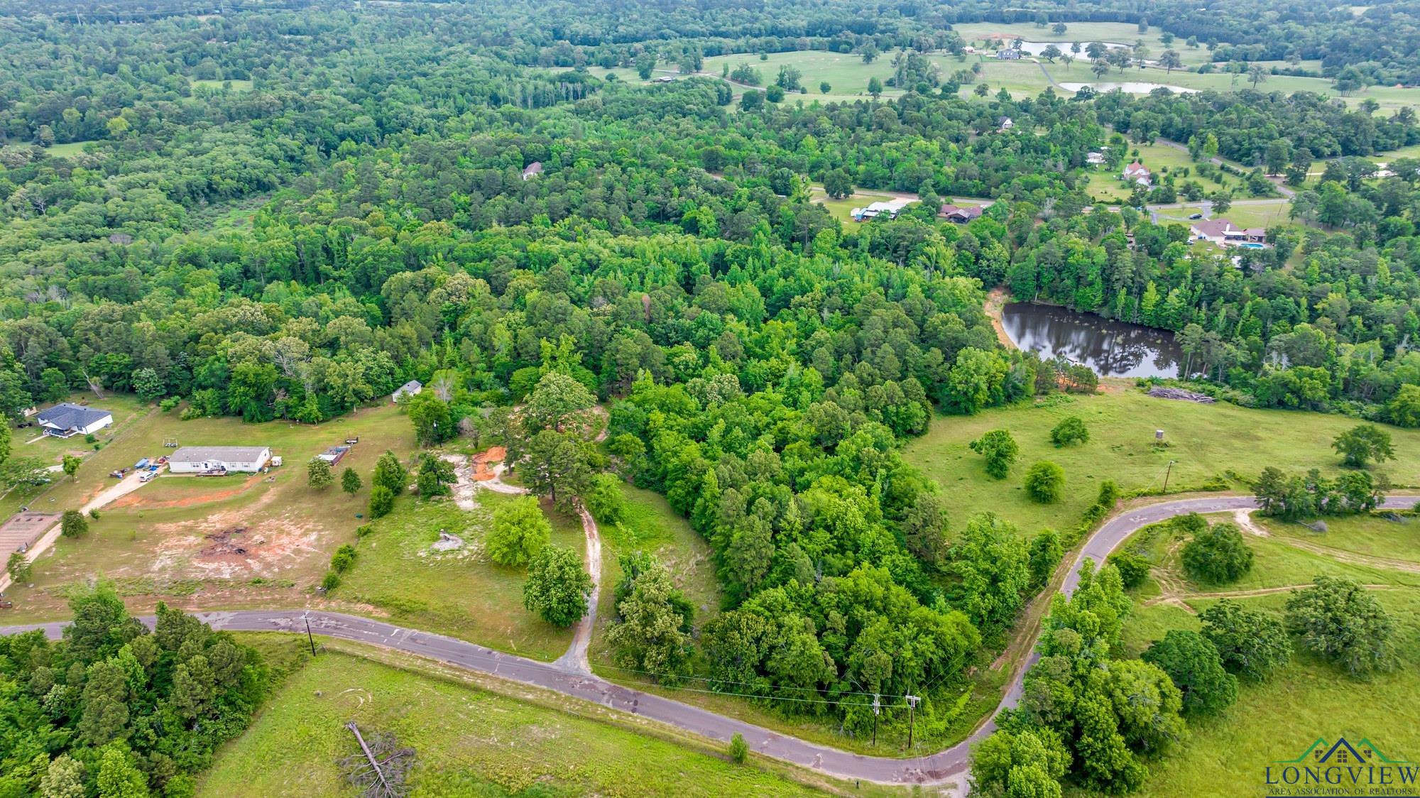 2717 Mustang Rd, Gilmer, Texas image 10