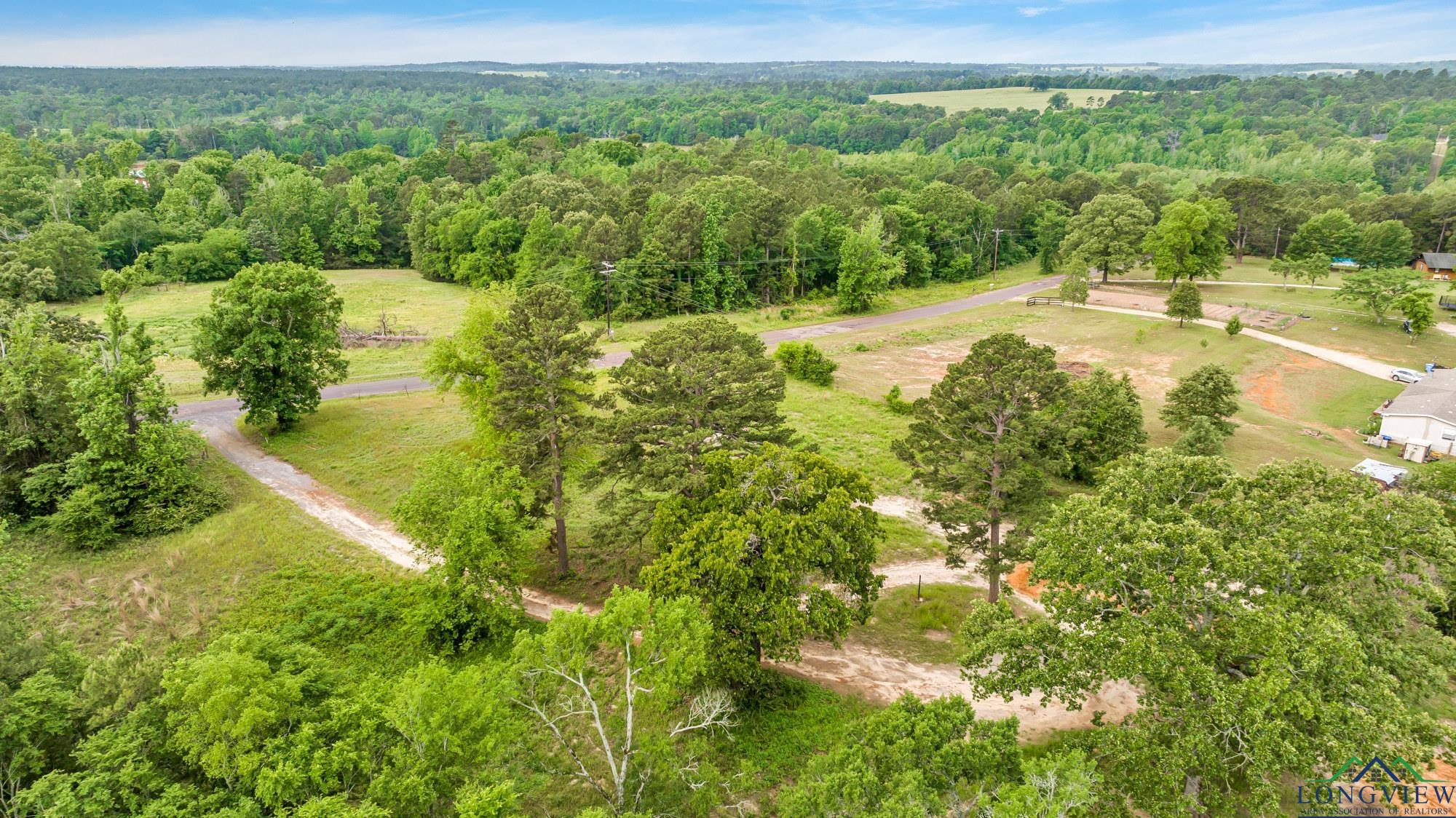 2717 Mustang Rd, Gilmer, Texas image 12