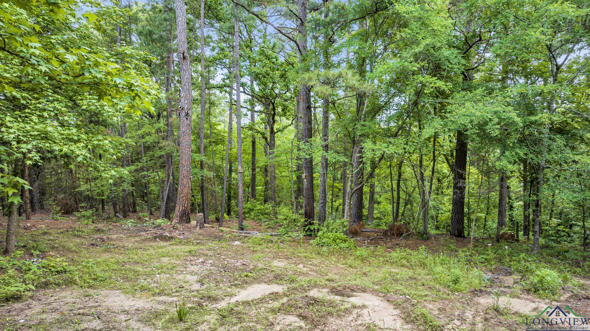 2717 Mustang Rd, Gilmer, Texas image 8