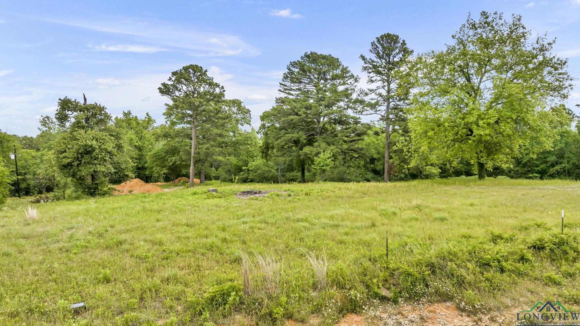 2717 Mustang Rd, Gilmer, Texas image 5