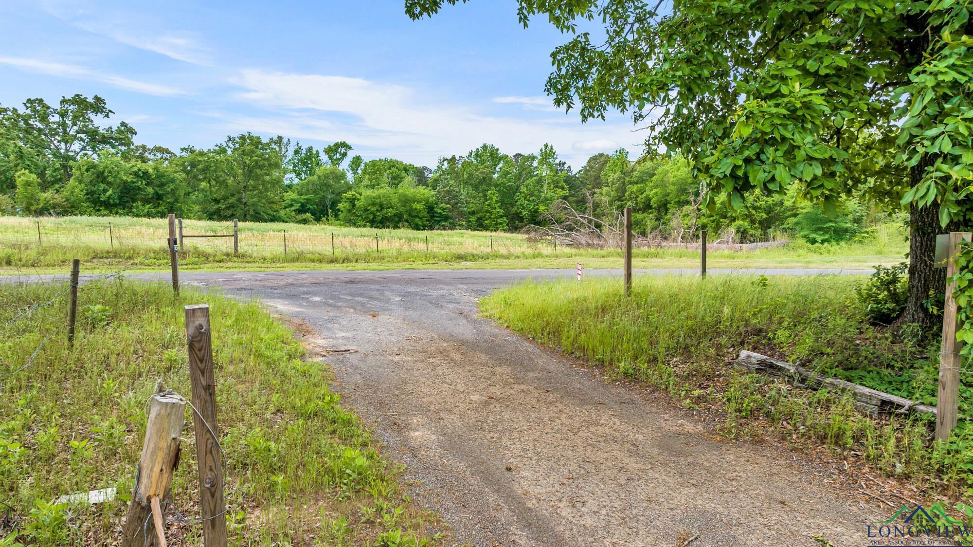 2717 Mustang Rd, Gilmer, Texas image 3