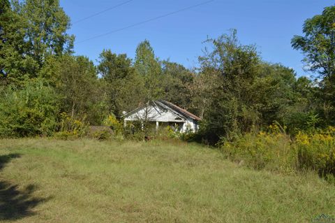 Vacant Land For Sale - 1390 Shady Grove Rd<br/> Marion County, Jefferson, TX 75657