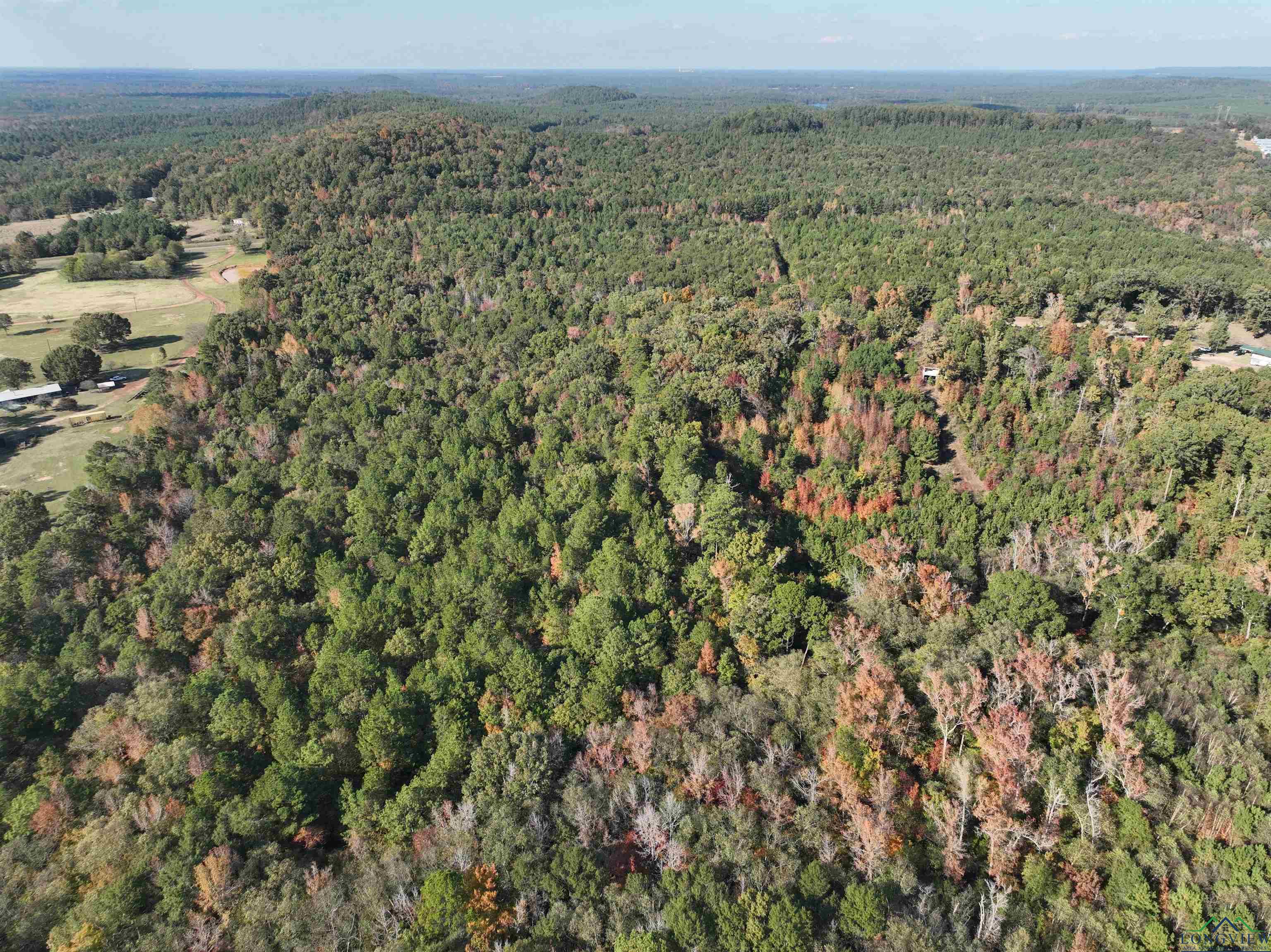 TBD Fm 2796 Tract 2, Pittsburg, Texas image 10