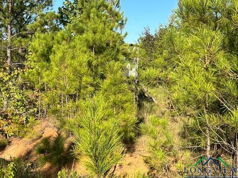 Homes For Sale - TBD County Road 3216 (off - Easement)<br/> Laneville, TX 75670