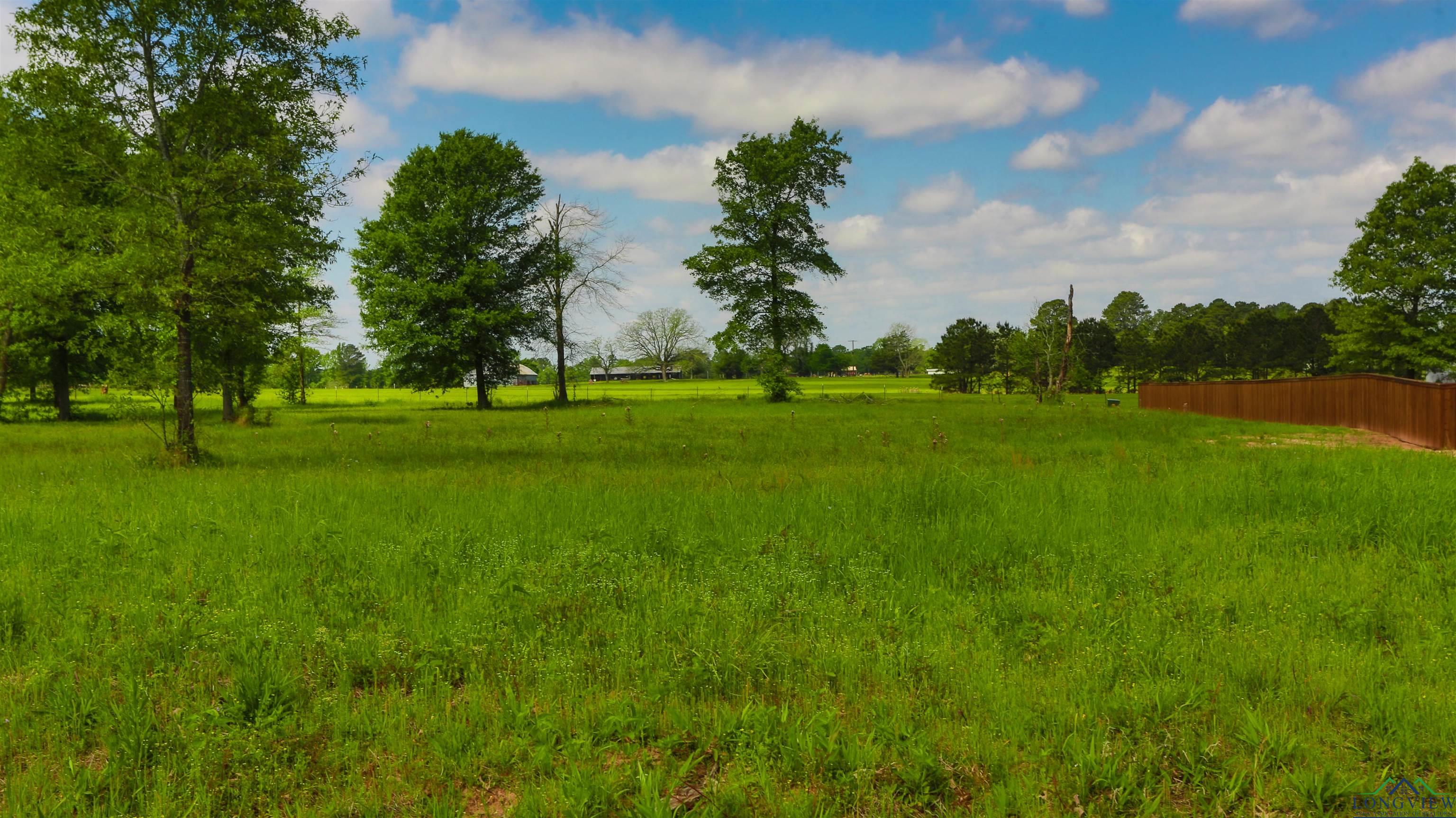 TBD Majestic Oaks, De Berry, Texas image 1