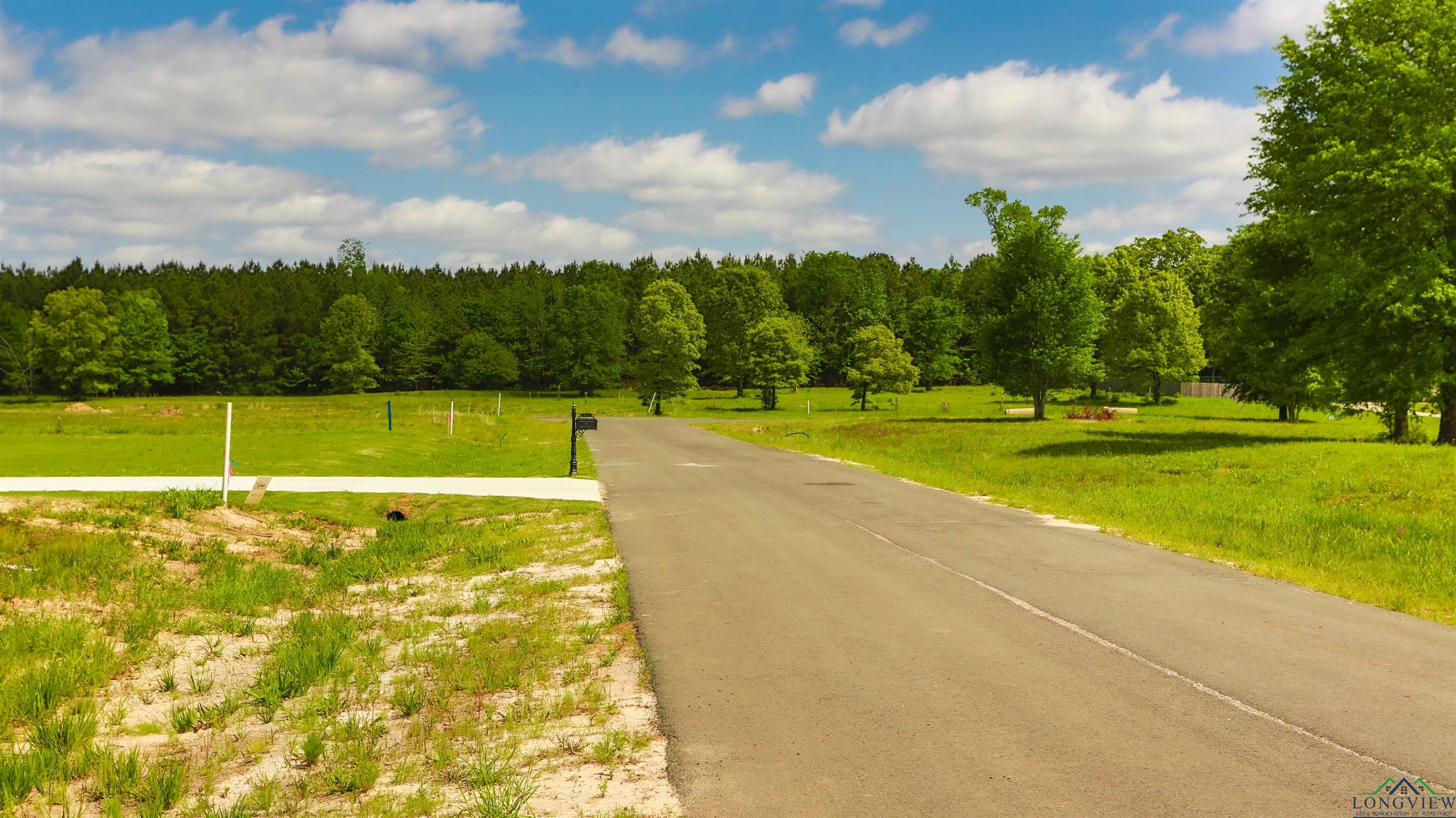 TBD Majestic Oaks, De Berry, Texas image 3