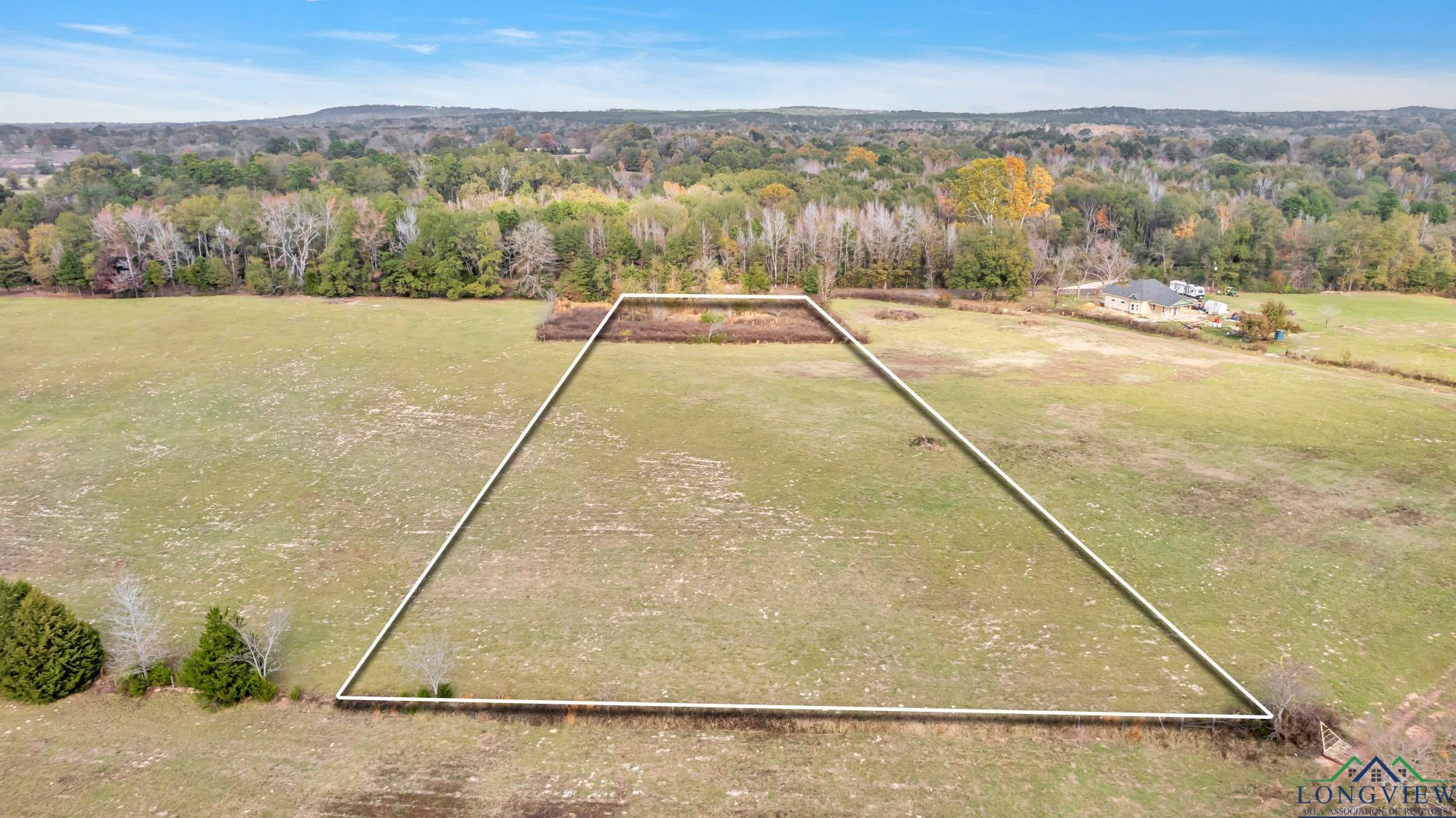 TBD Bob O Link Rd, Gilmer, Texas image 1
