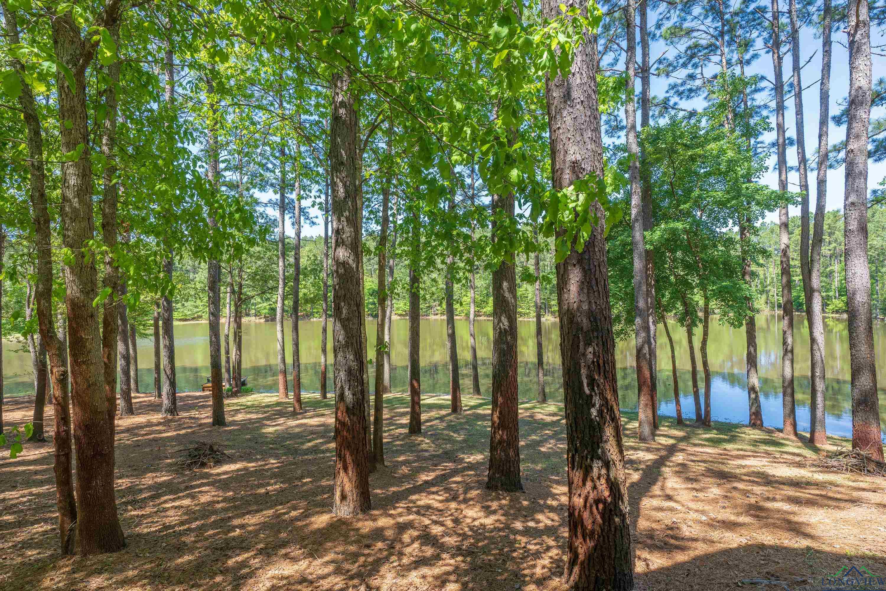 1355 Snapdragon Rd, Diana, Texas image 24