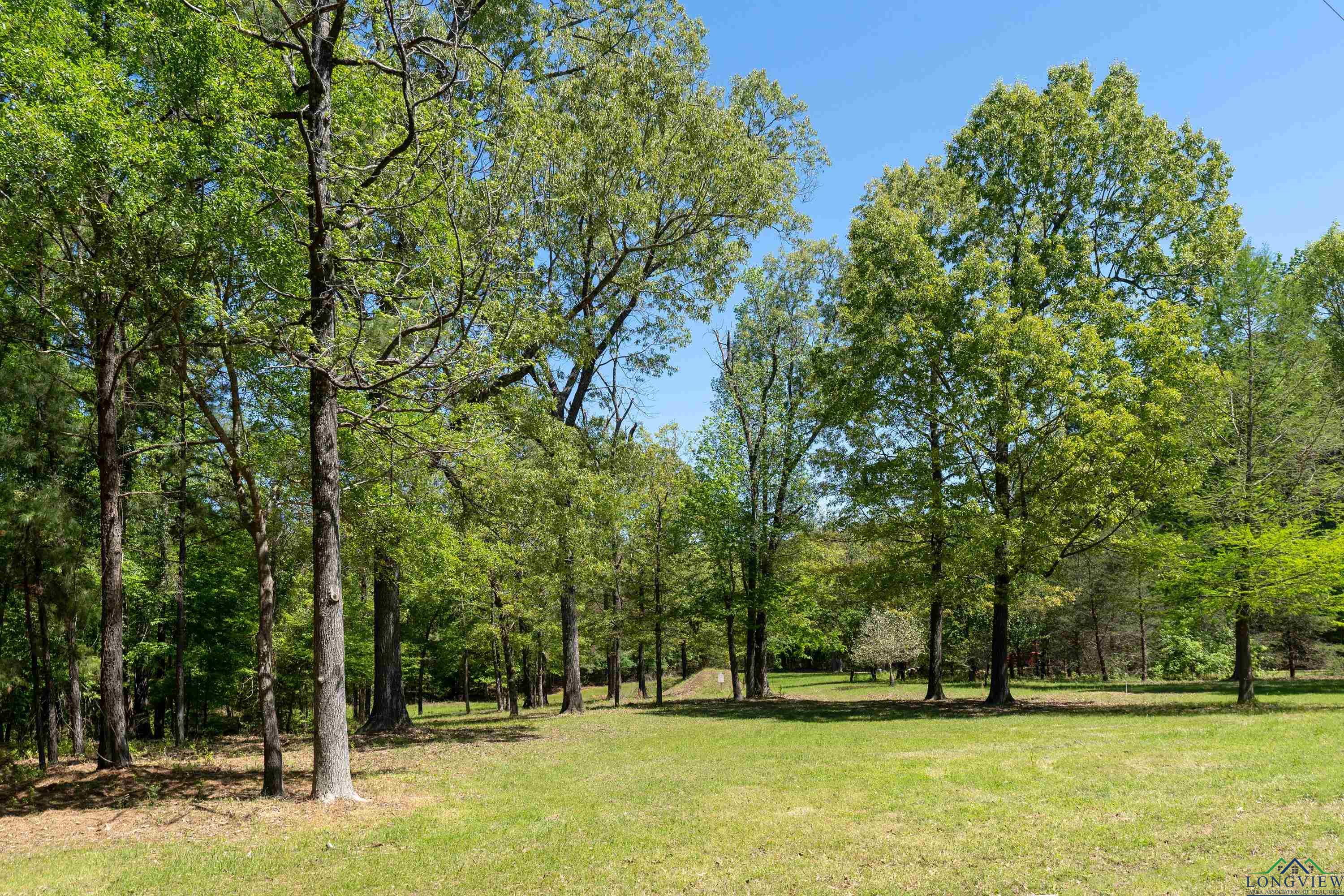 1355 Snapdragon Rd, Diana, Texas image 26