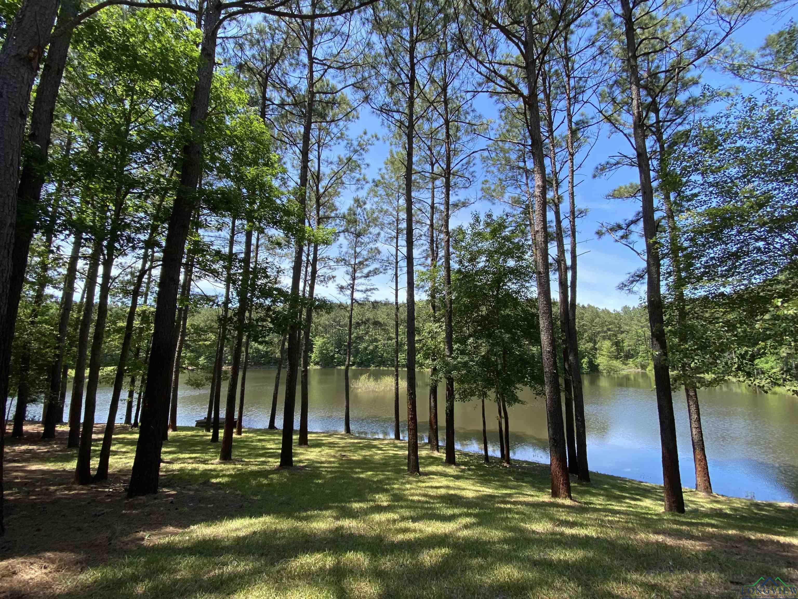 1355 Snapdragon Rd, Diana, Texas image 41