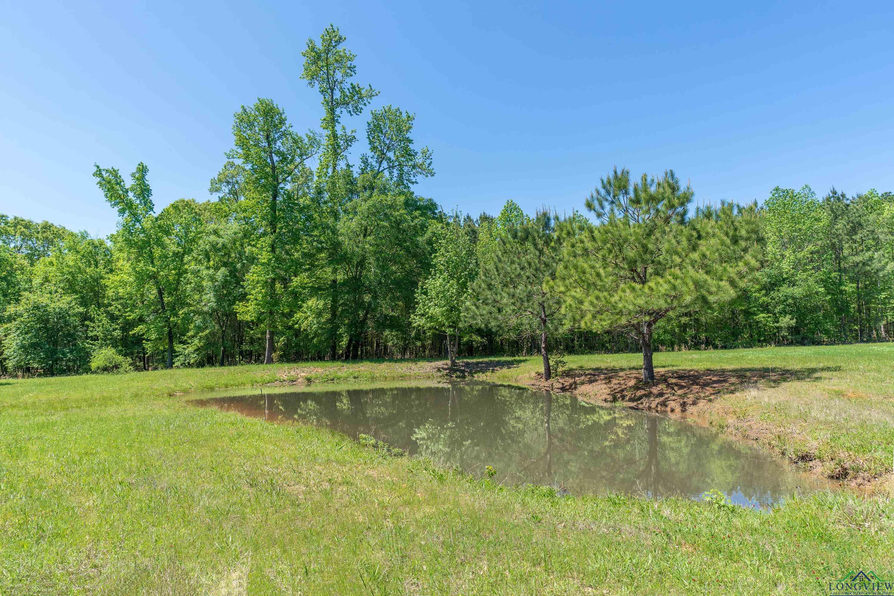 1355 Snapdragon Rd, Diana, Texas image 29