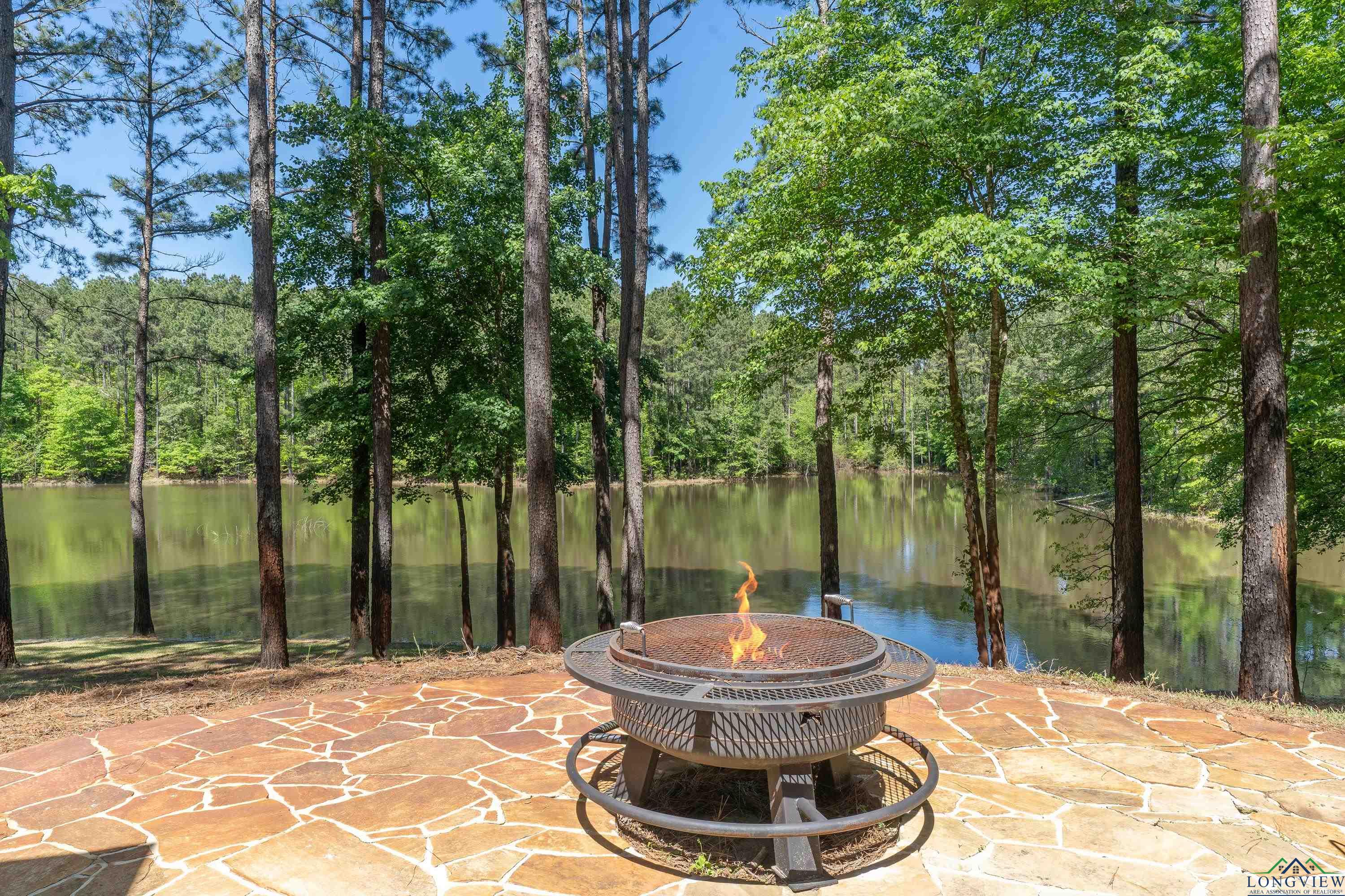 1355 Snapdragon Rd, Diana, Texas image 25