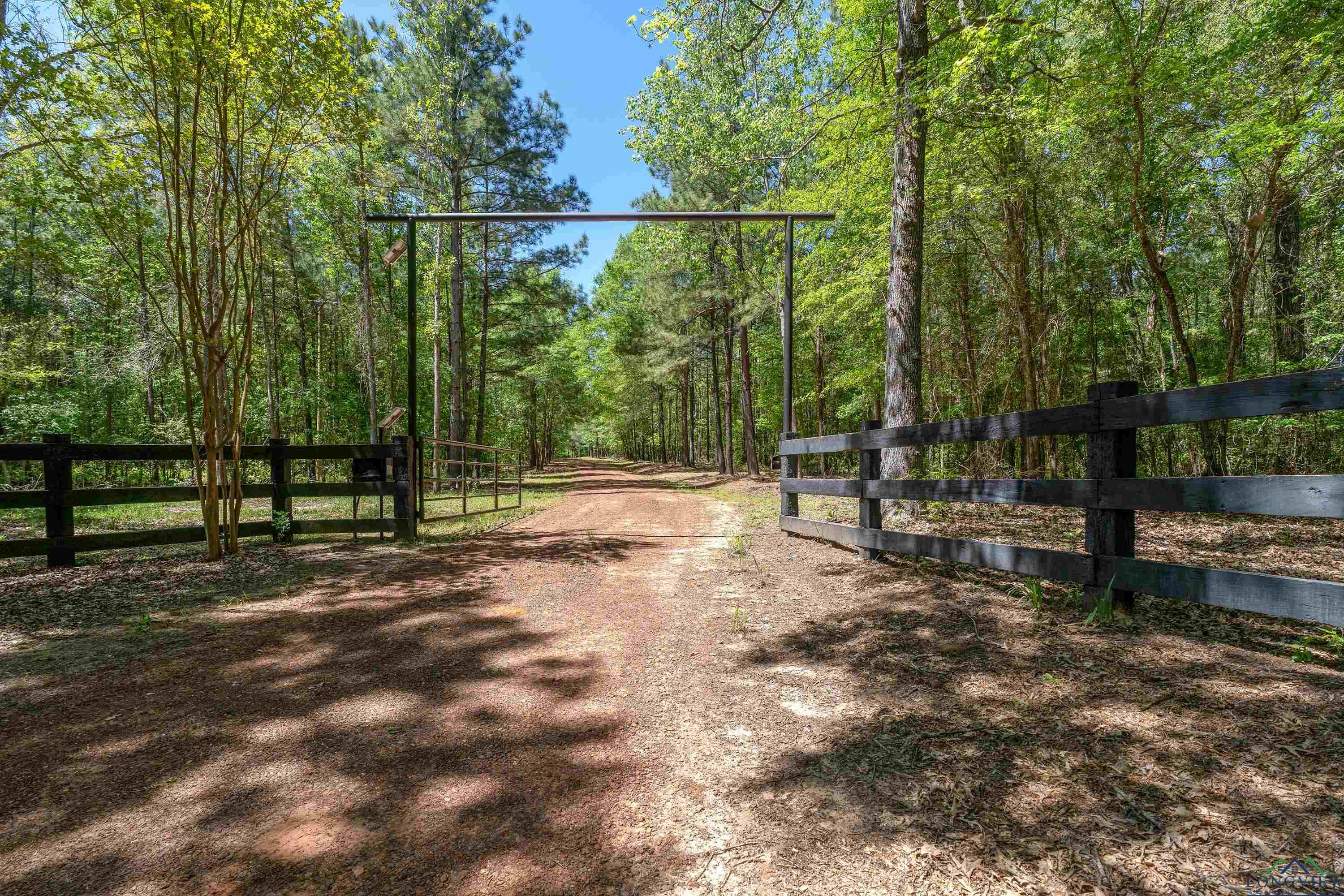 1355 Snapdragon Rd, Diana, Texas image 3