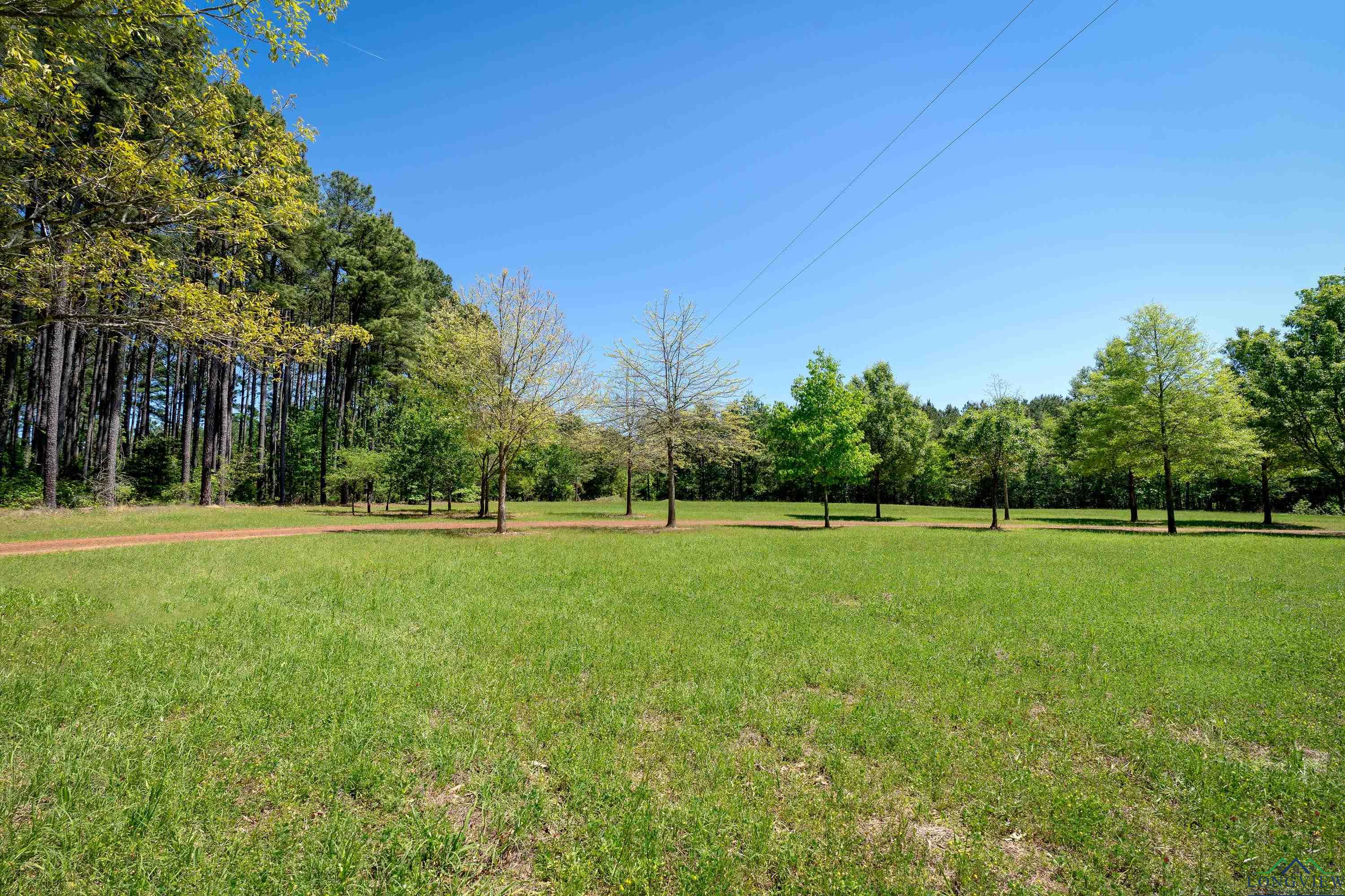 1355 Snapdragon Rd, Diana, Texas image 30