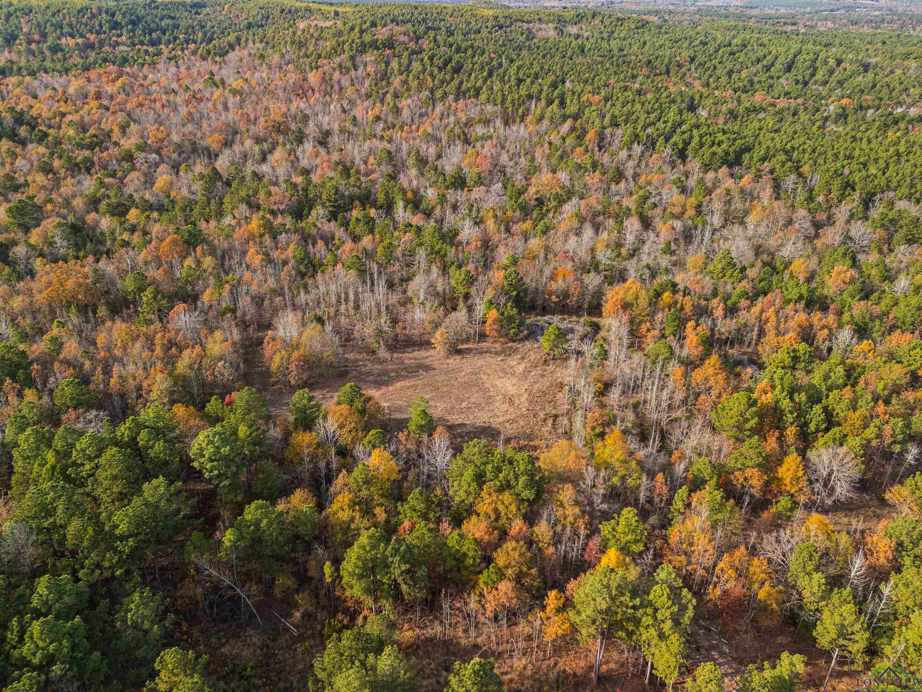 TBD Fm 1649, Gilmer, Texas image 37