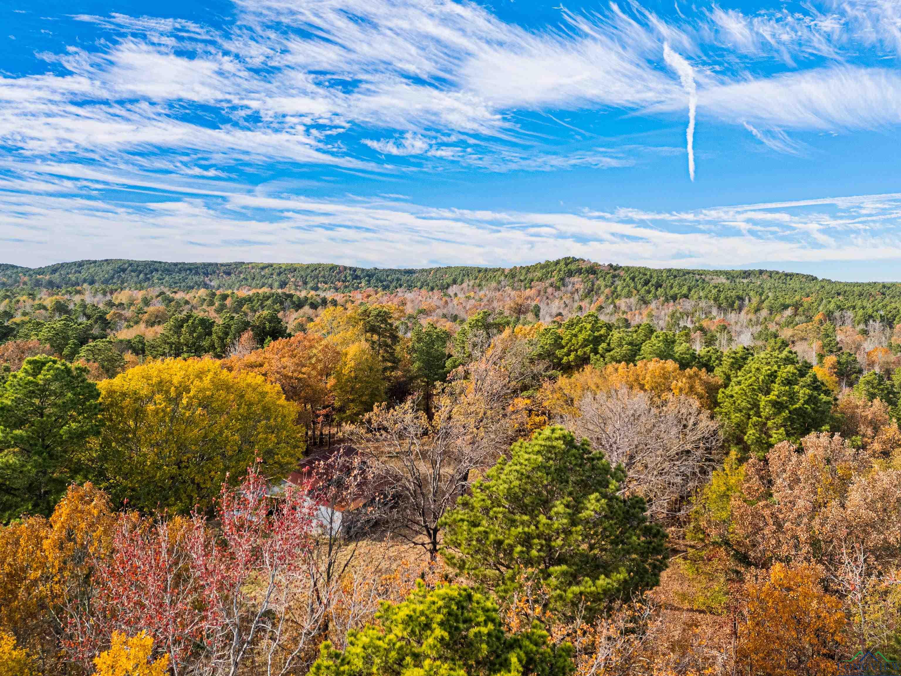 TBD Fm 1649, Gilmer, Texas image 36