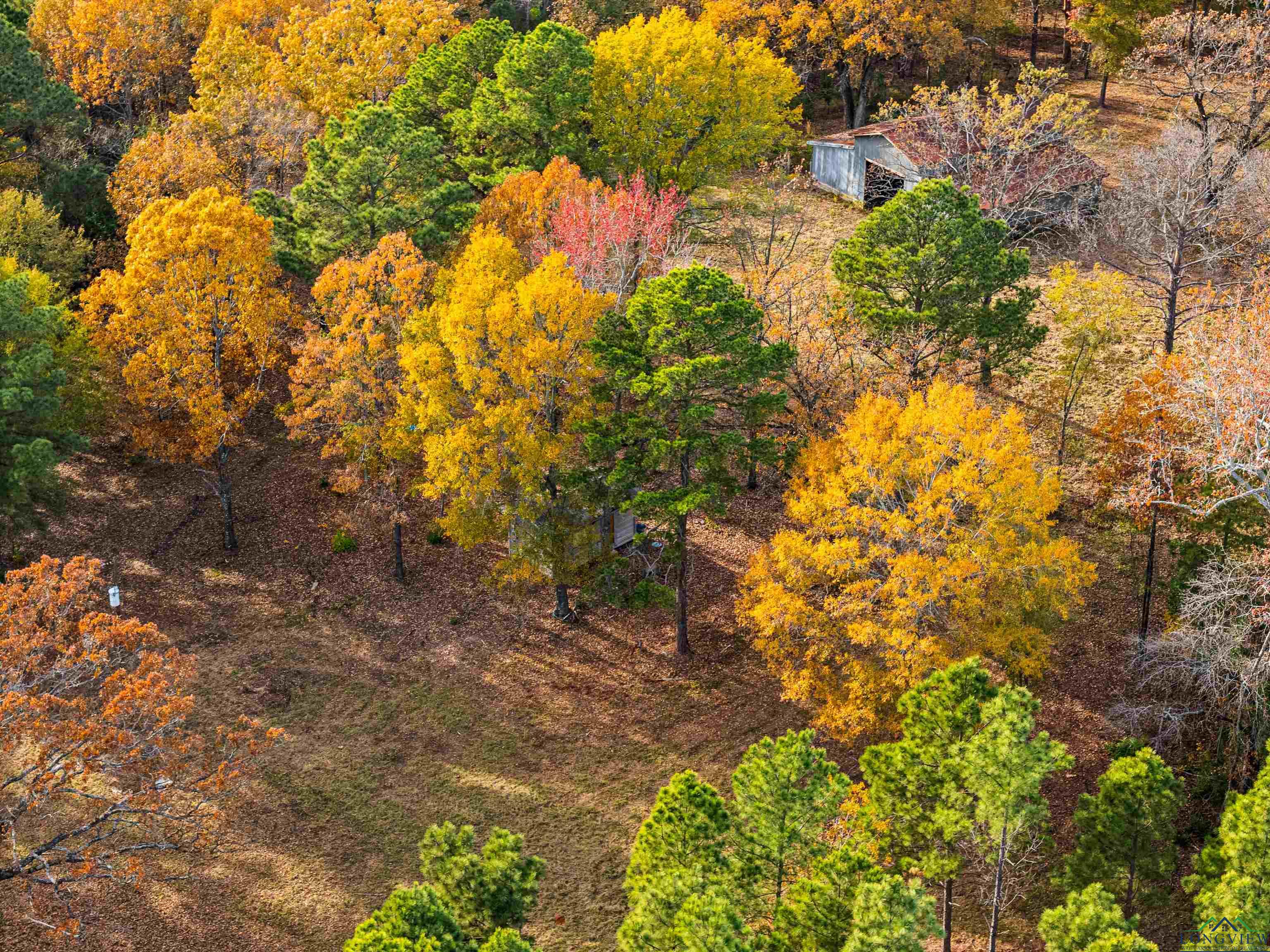 TBD Fm 1649, Gilmer, Texas image 24