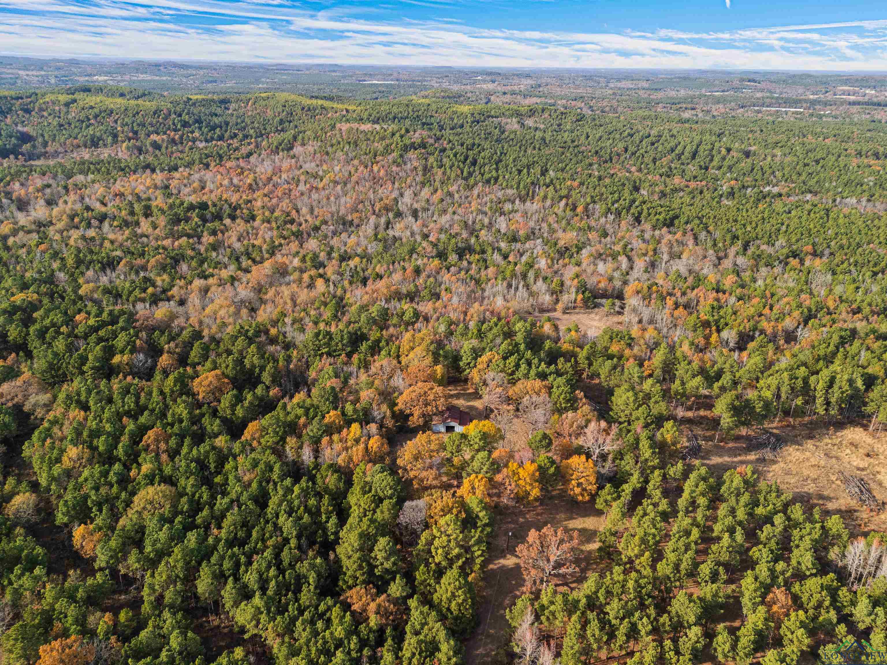 TBD Fm 1649, Gilmer, Texas image 43