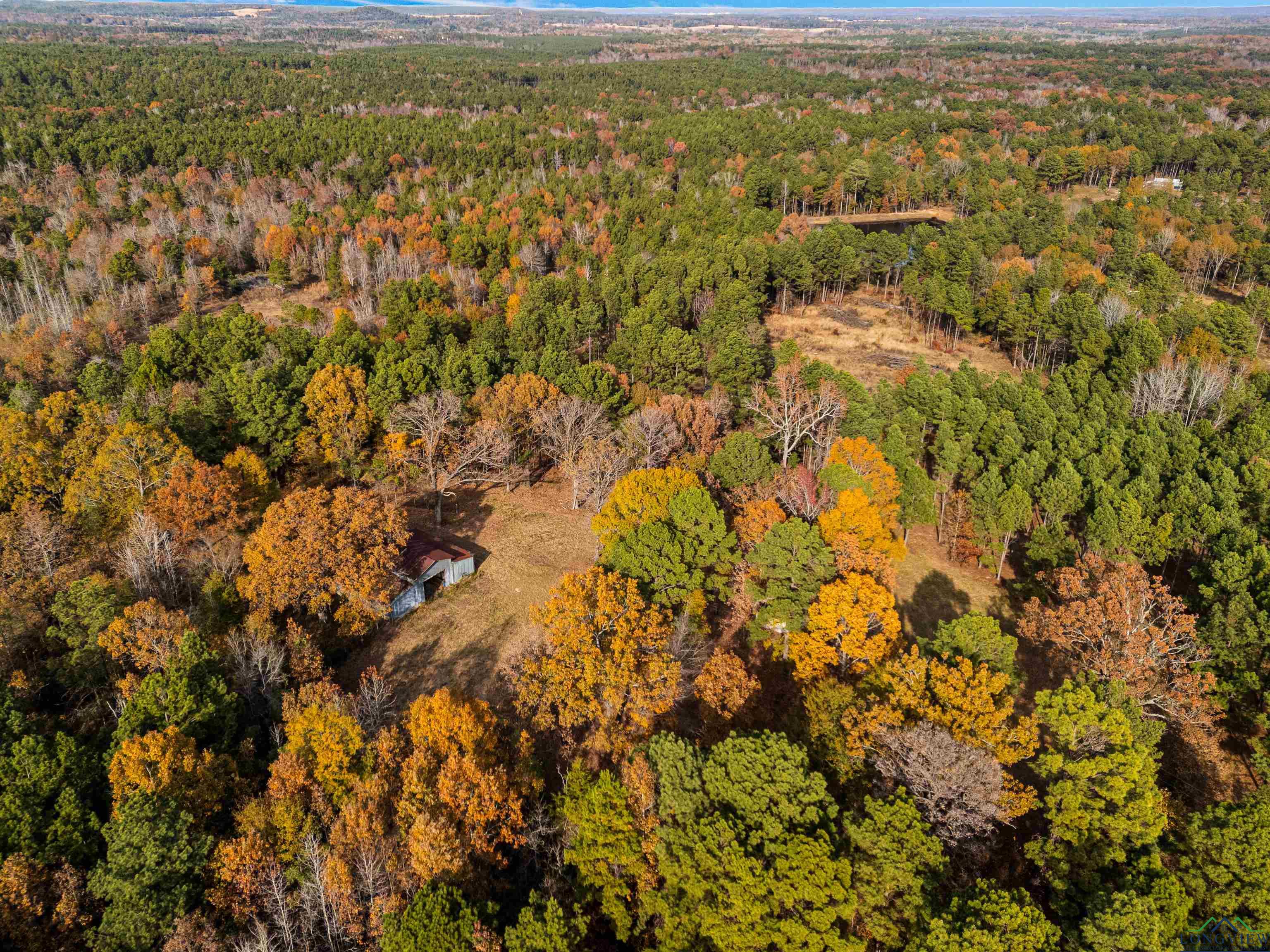 TBD Fm 1649, Gilmer, Texas image 41