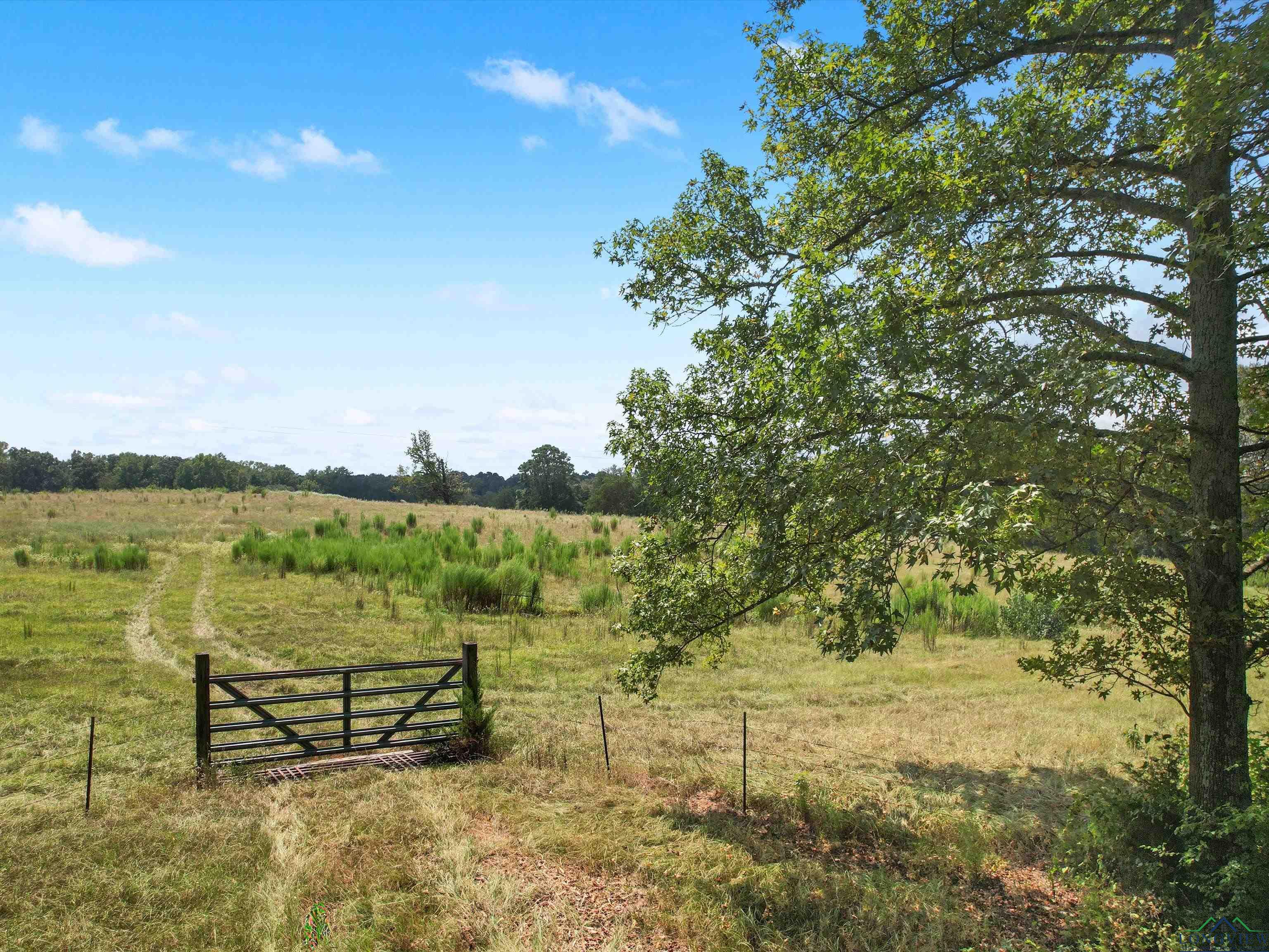 TBD Ocelot Rd, Gilmer, Texas image 9