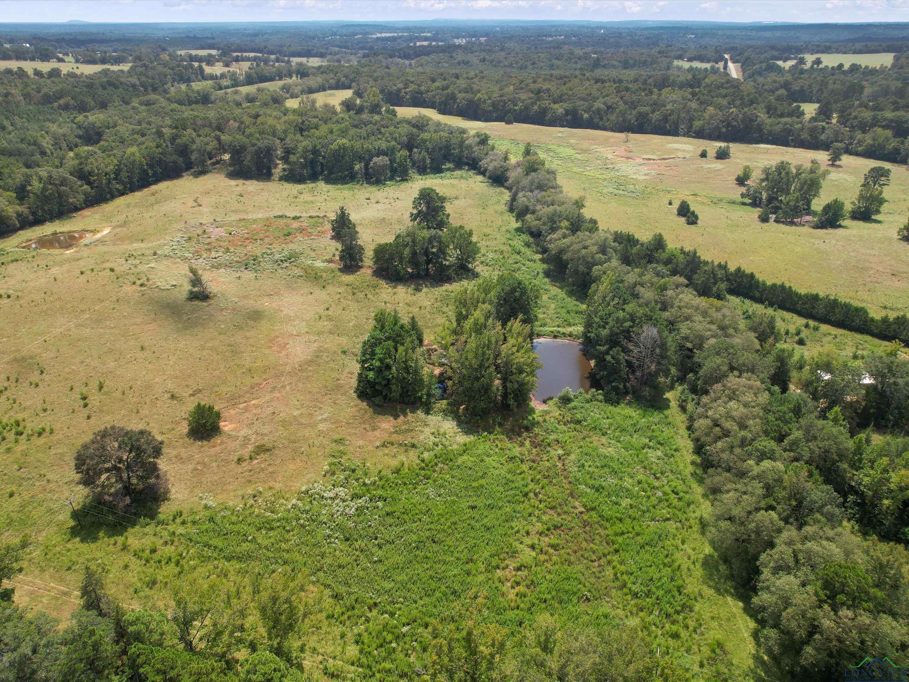 TBD Ocelot Rd, Gilmer, Texas image 7