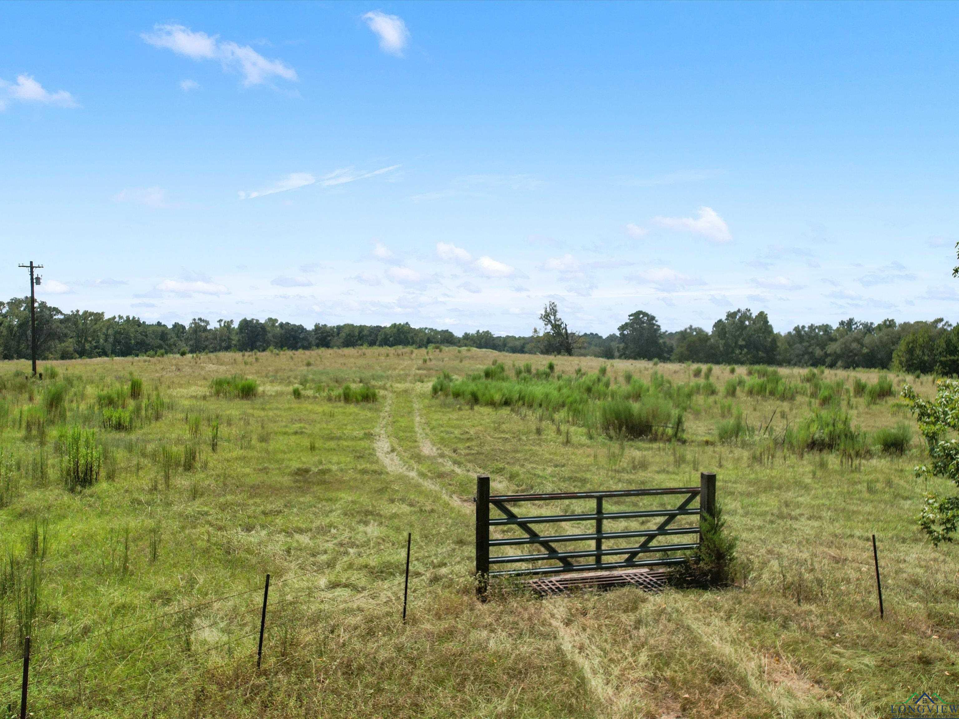 TBD Ocelot Rd, Gilmer, Texas image 8