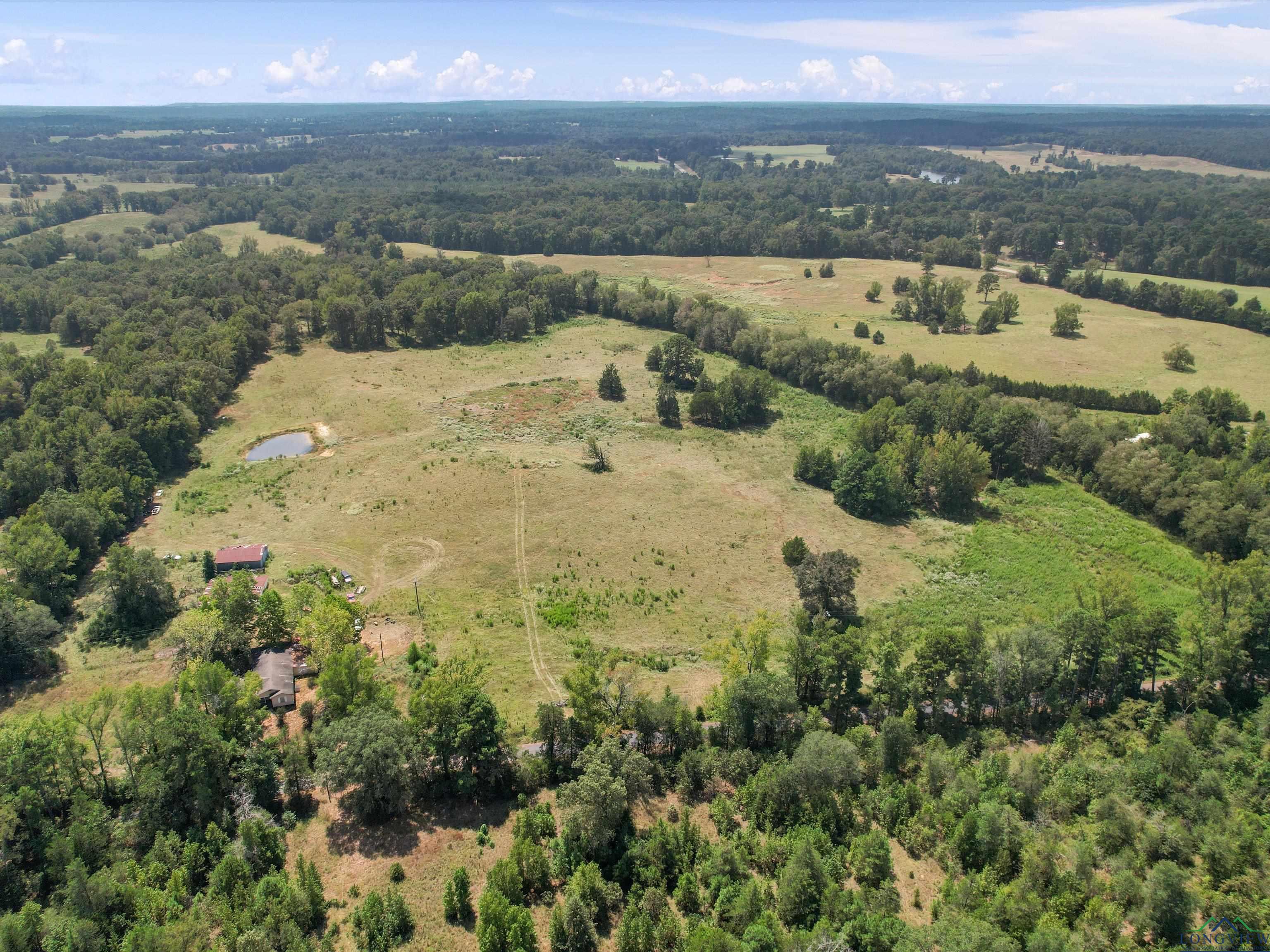 TBD Ocelot Rd, Gilmer, Texas image 3