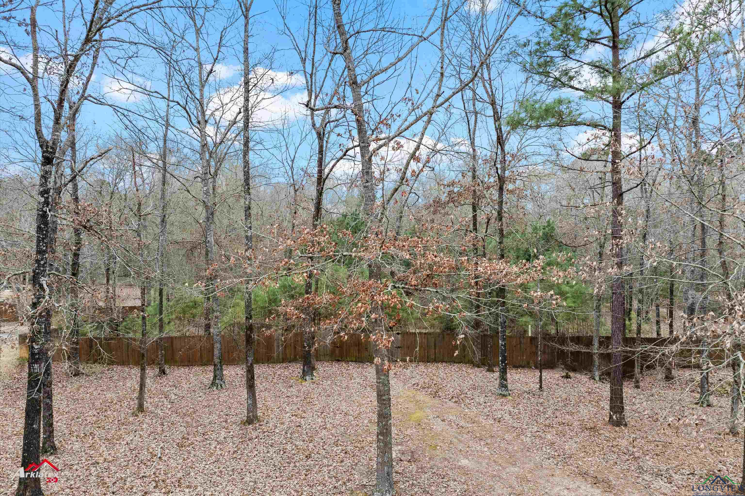 TBD Lot #11 The Timbers, Kilgore, Texas image 3