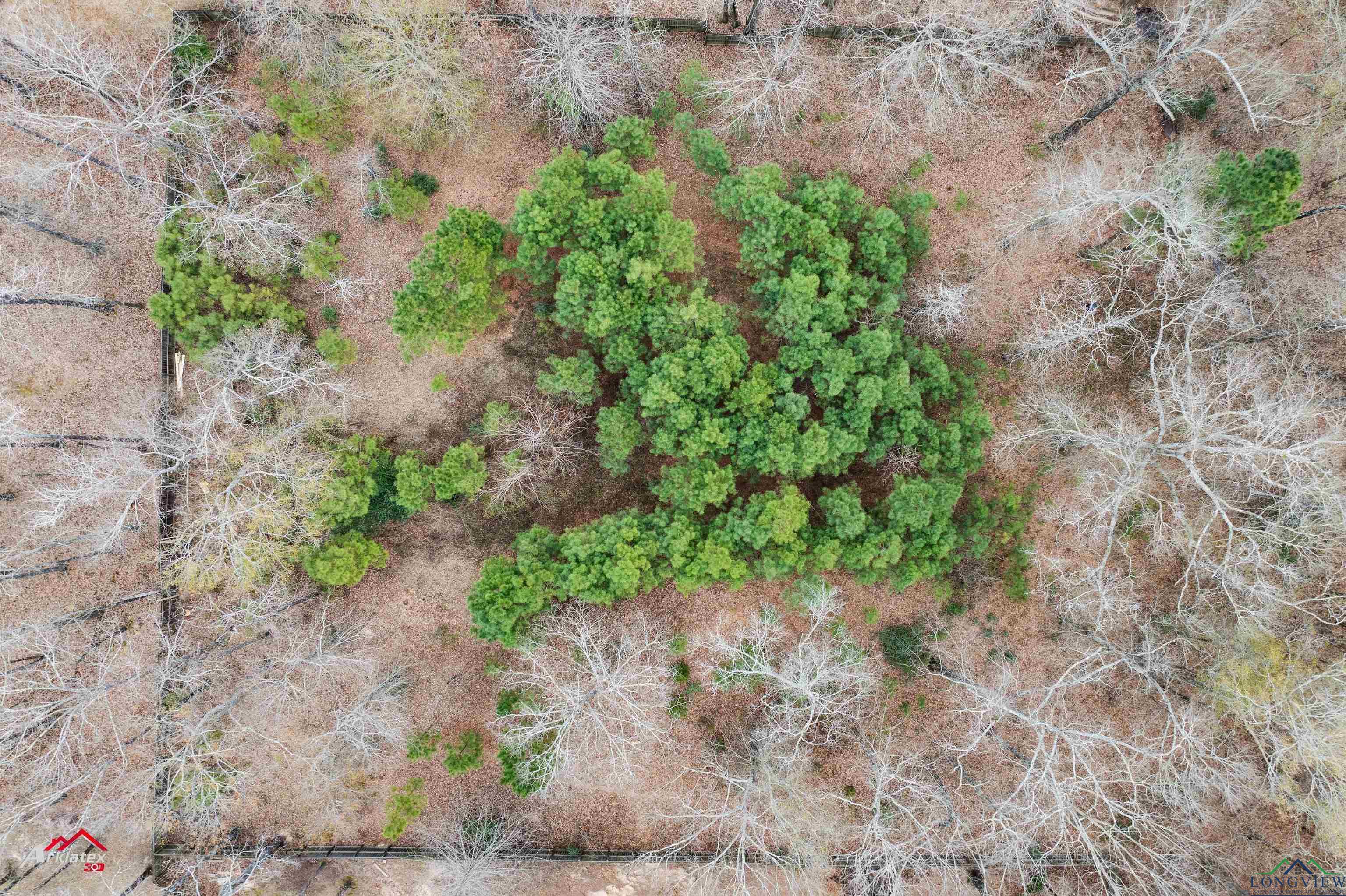 TBD Lot #11 The Timbers, Kilgore, Texas image 6
