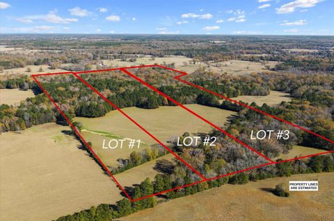 Vacant Land For Sale - TBD Cr 157<br/> Carthage, TX 75633